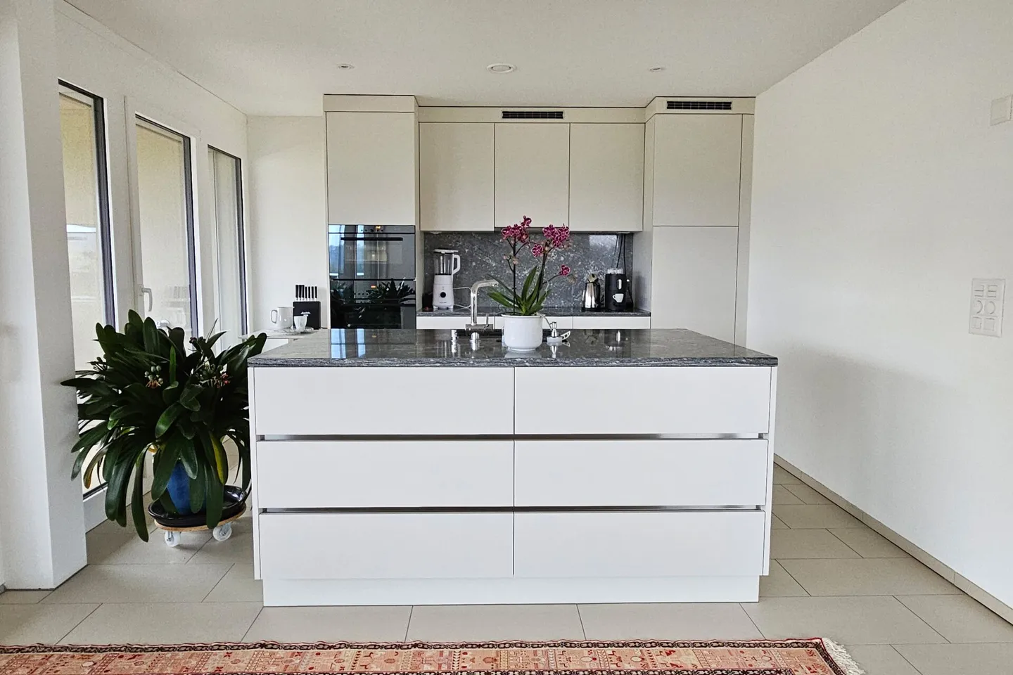 Appartamento tra la Limmat e il bordo della foresta con vista panoramica - Foto 4 di 10