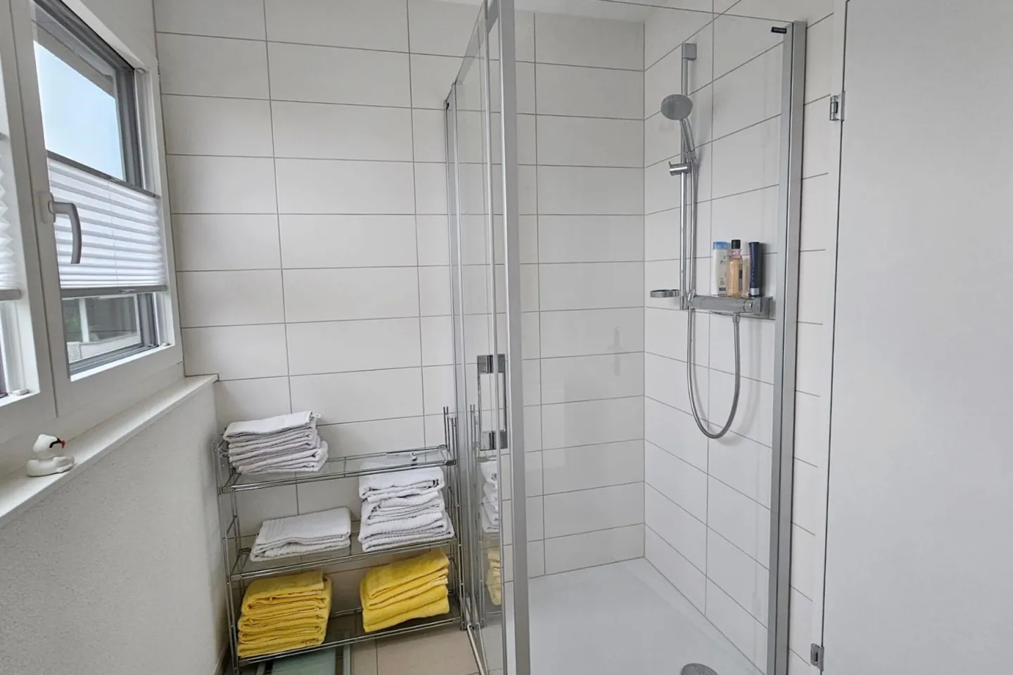 Appartamento tra la Limmat e il bordo della foresta con vista panoramica - Foto 8 di 10