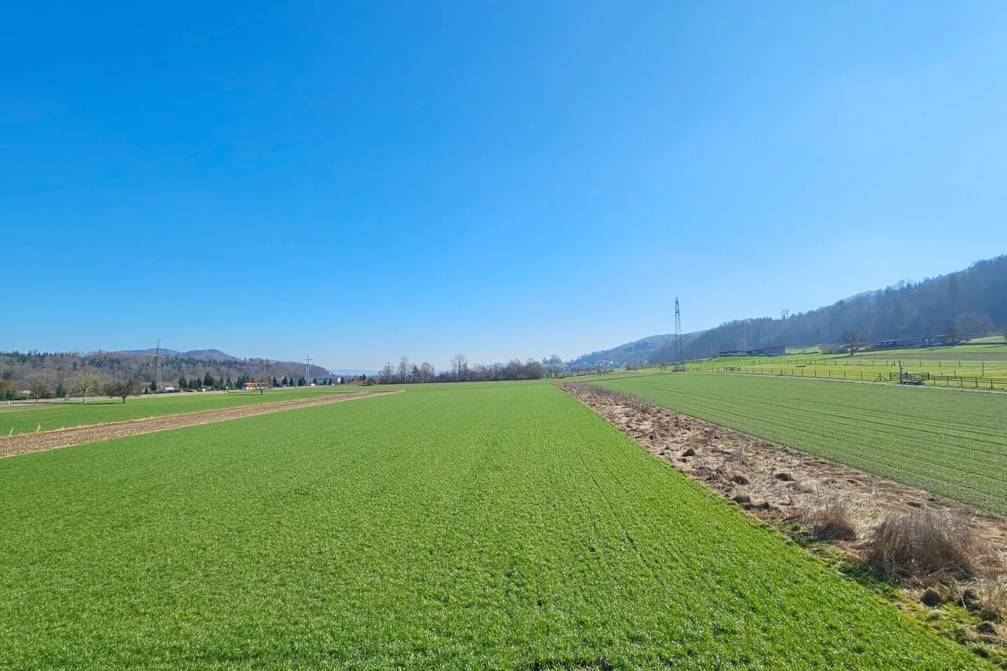 Appartamento tra la Limmat e il bordo della foresta con vista panoramica - Foto 10 di 10