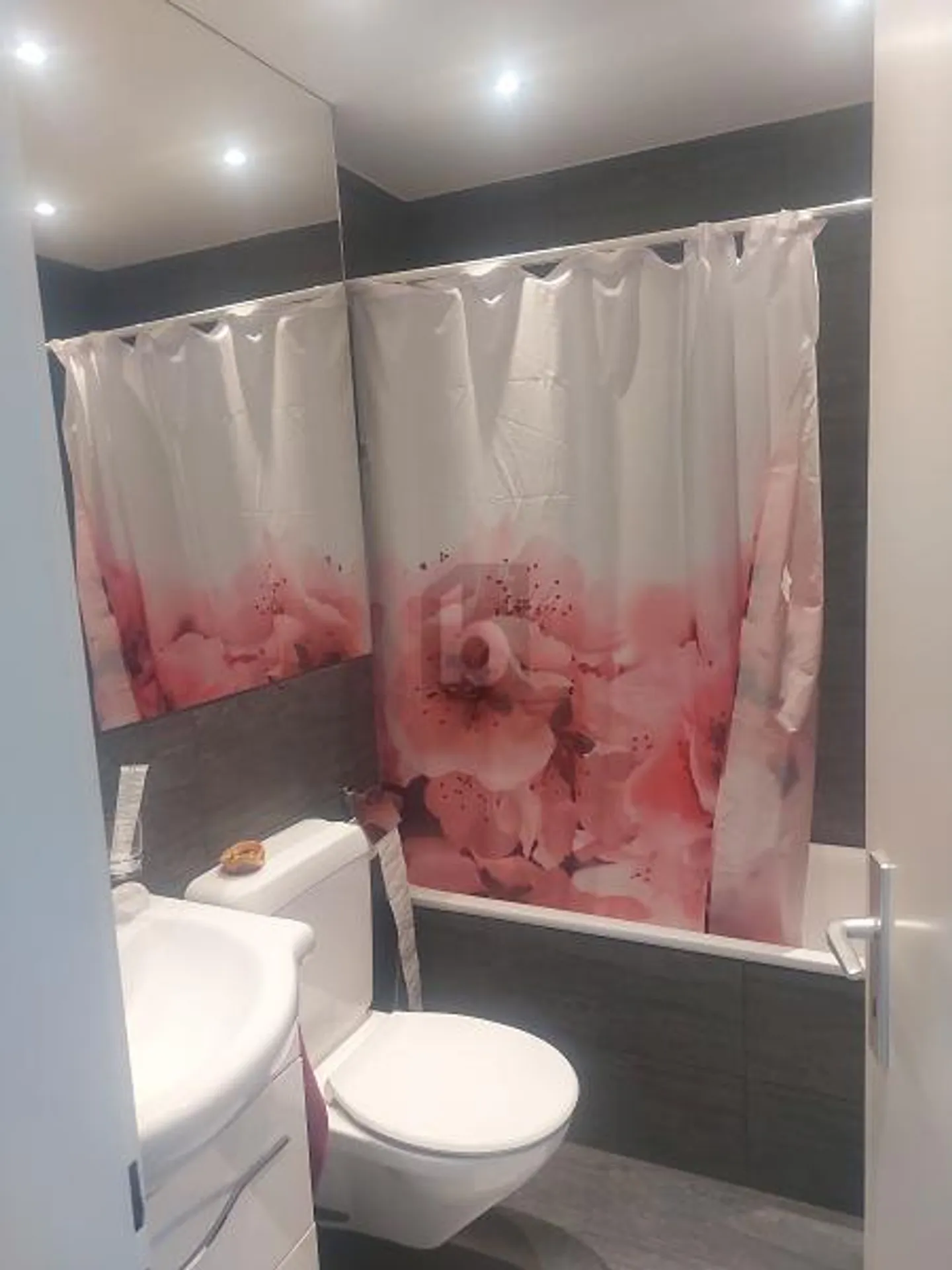 Furnished apartment for rent - Photo 5 of 6