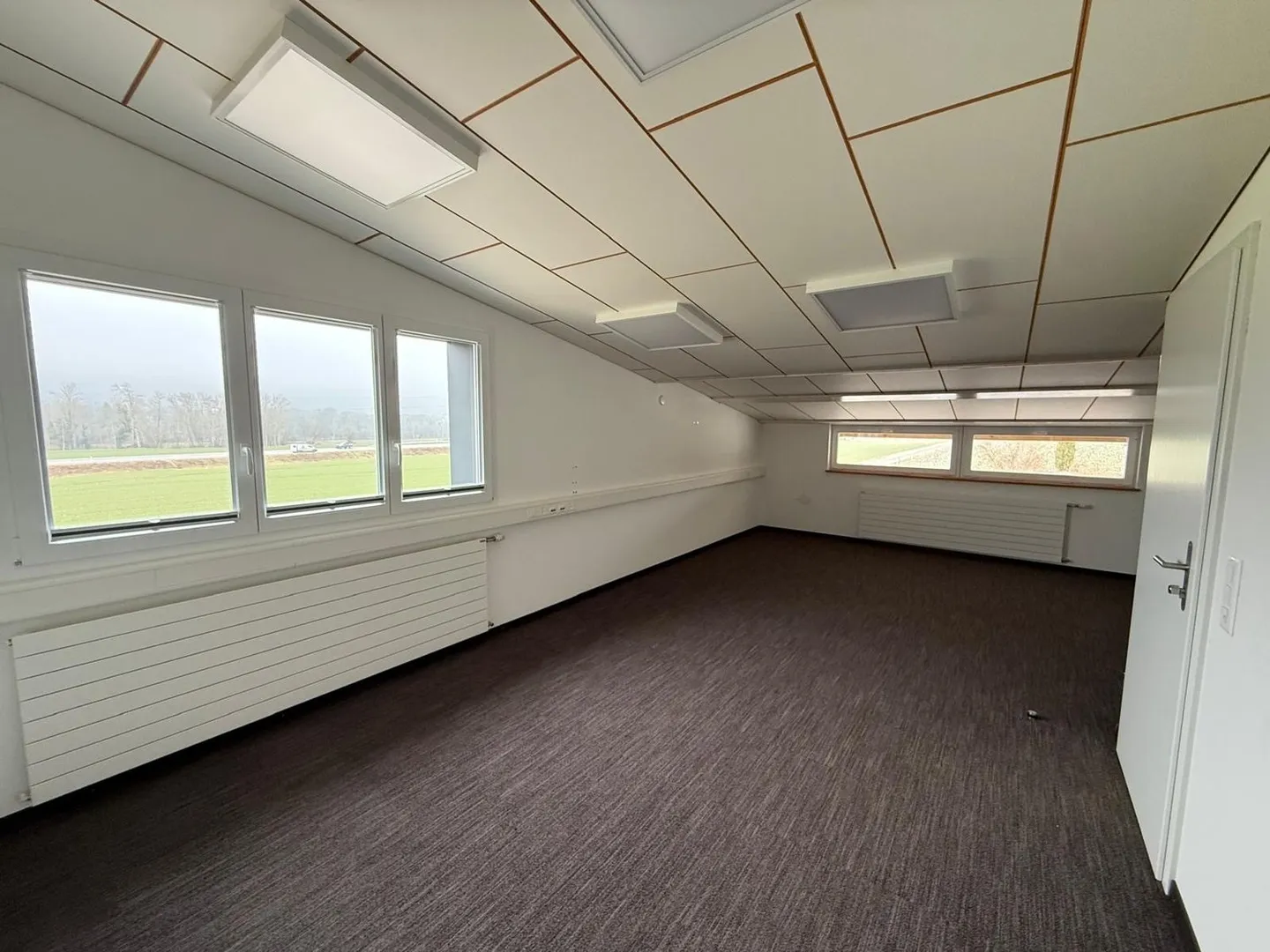 Capannone industriale con ufficio - Foto 6 di 12