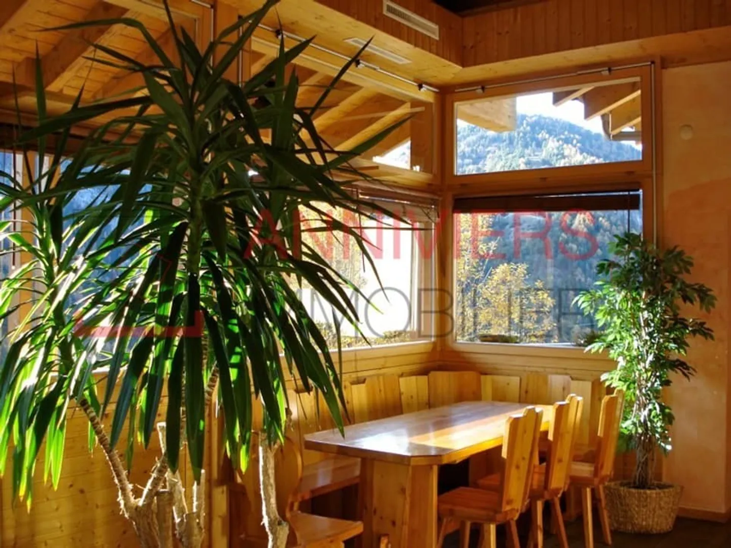 Ristorante tipico con vista panoramica e luce solare ottimale - Foto 3 di 13