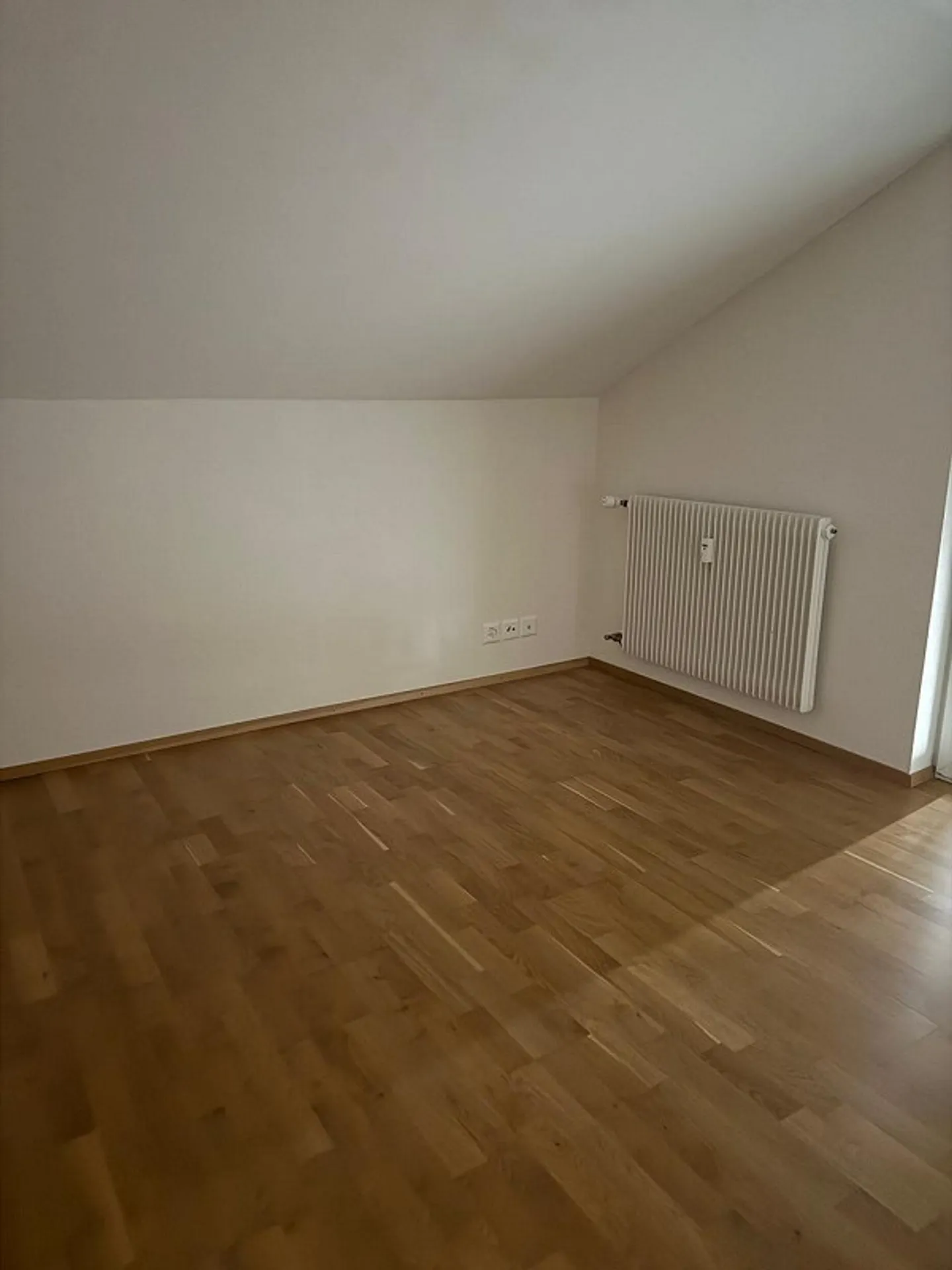 3.5 Room Attic Apartment - Photo 2 of 12