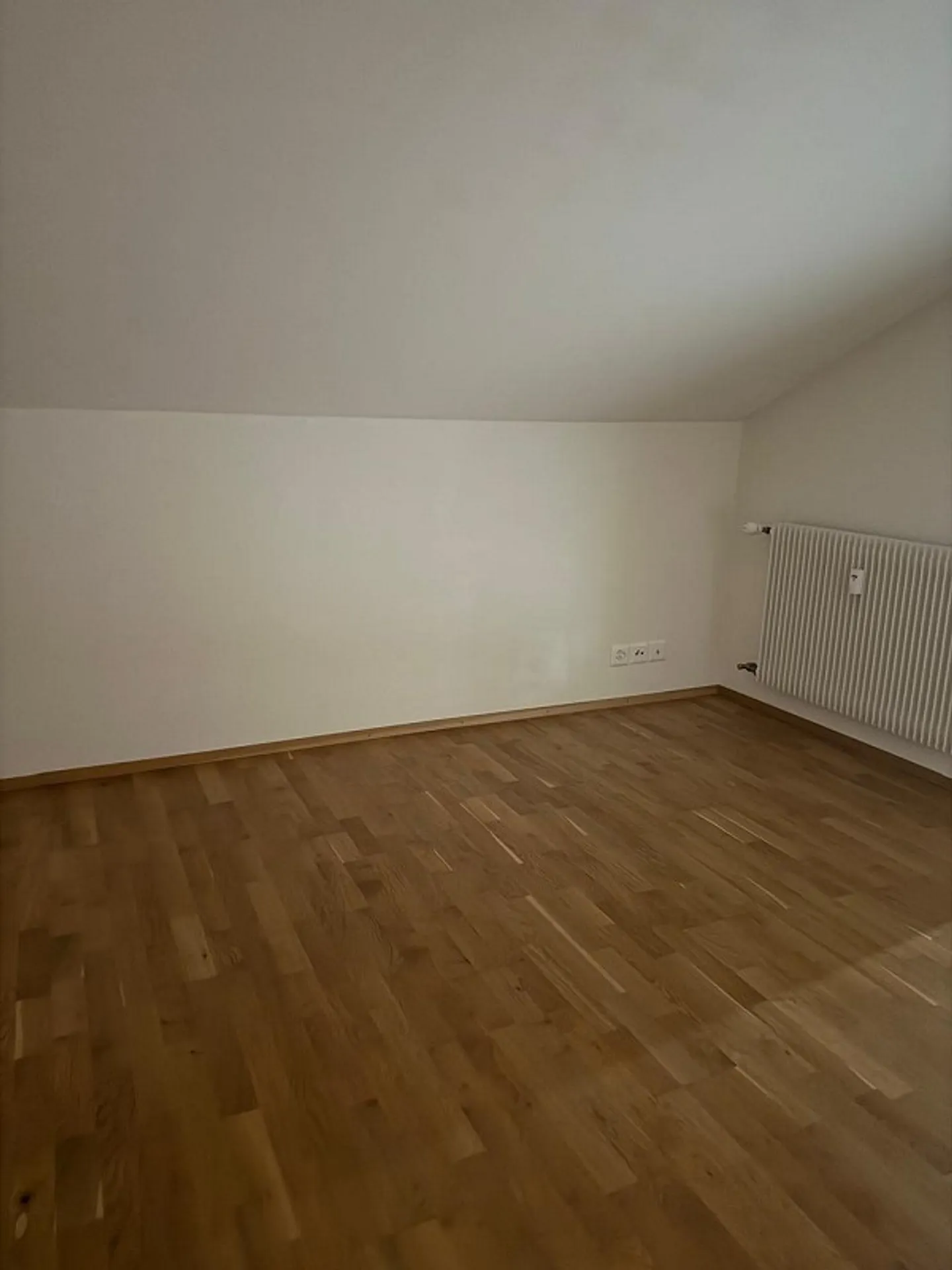 3.5 Room Attic Apartment - Photo 4 of 12