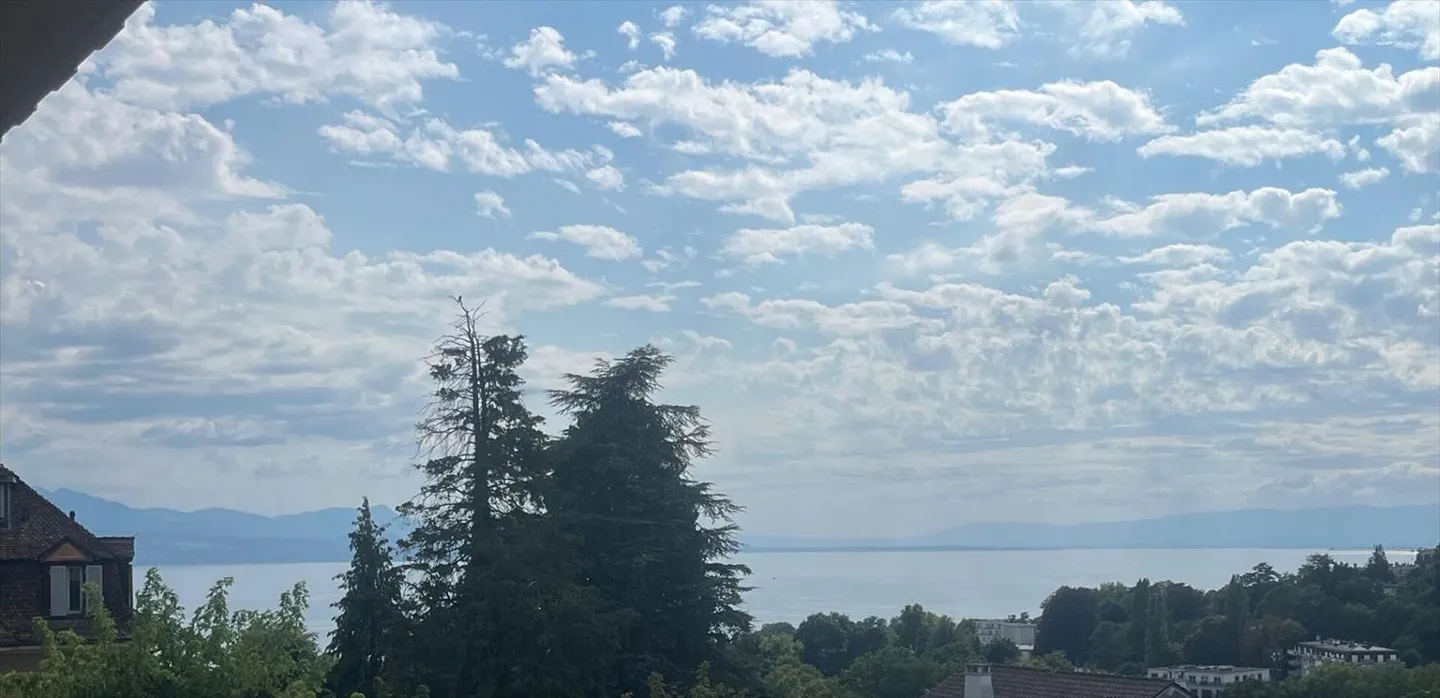 Sublime 4.5 pièces avec place de parc souterraine incluse - Photo 3 sur 13