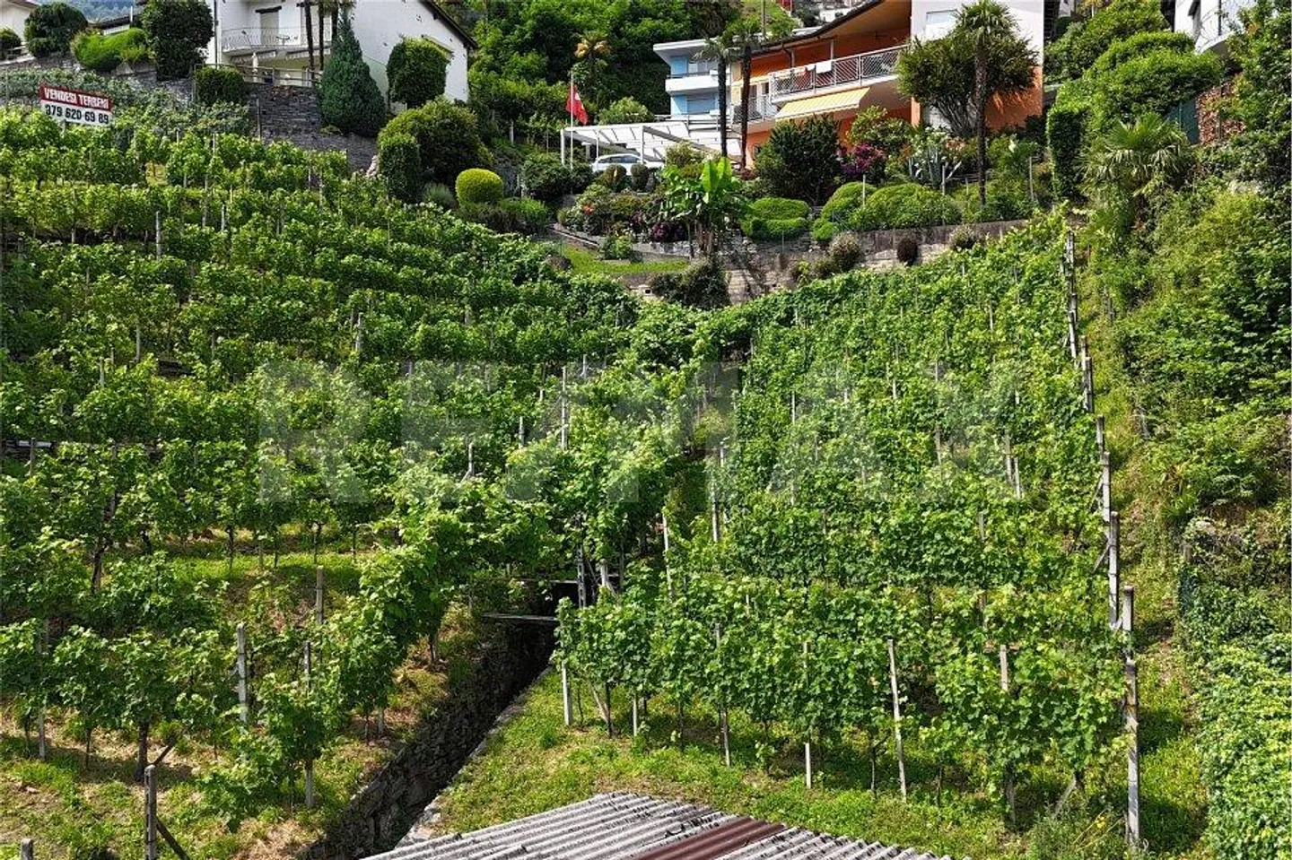 Land with preliminary project - Photo 5 of 12