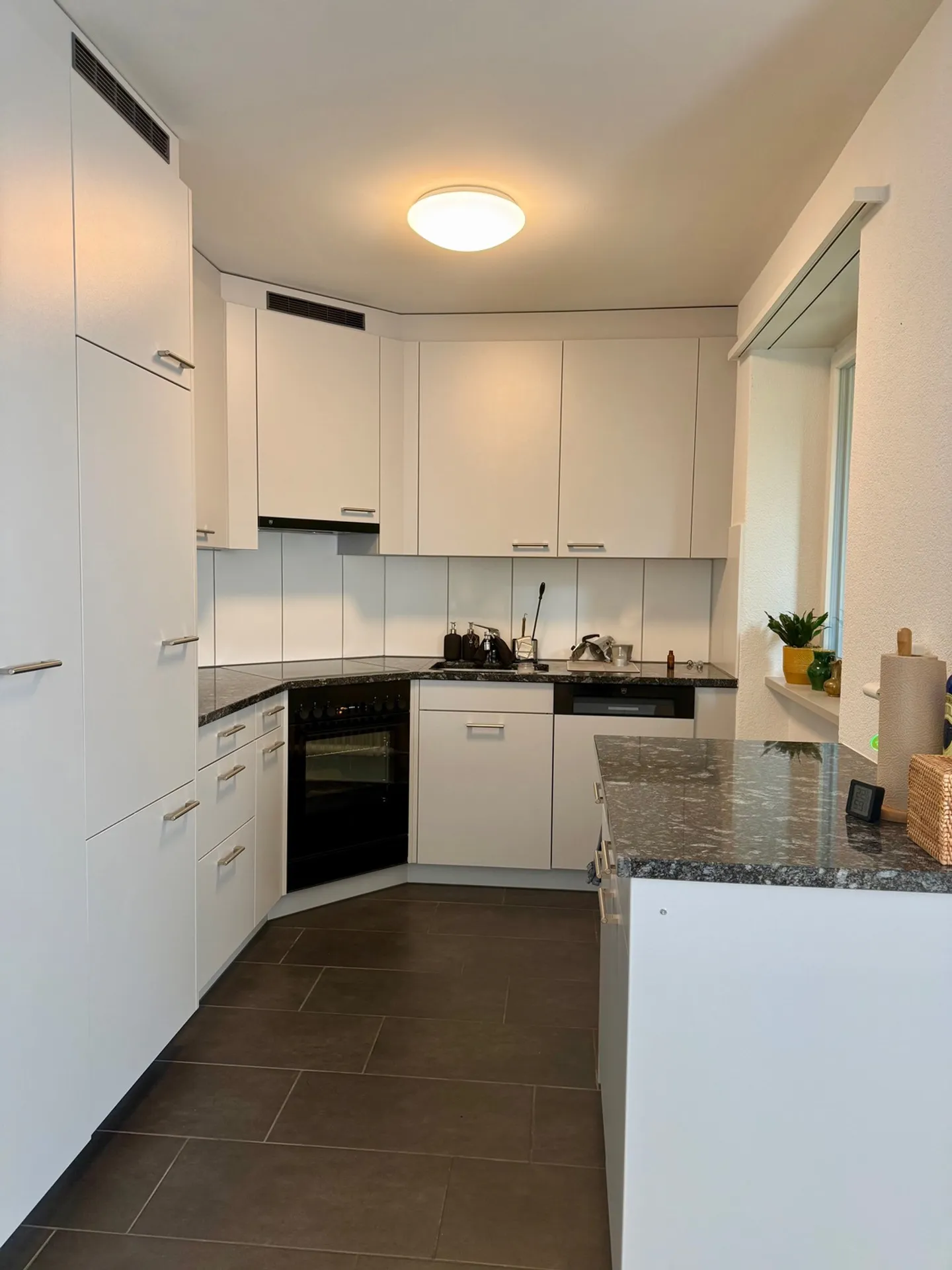 APPARTAMENTO 3 LOCALI A SCHAFFHAUSEN, ARREDATO, TEMPORANEO - Foto 3 di 10