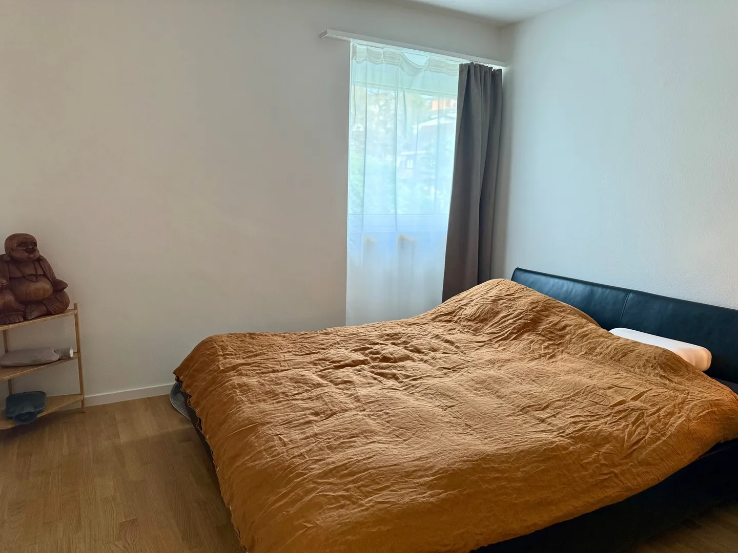 APPARTAMENTO 3 LOCALI A SCHAFFHAUSEN, ARREDATO, TEMPORANEO - Foto 4 di 10