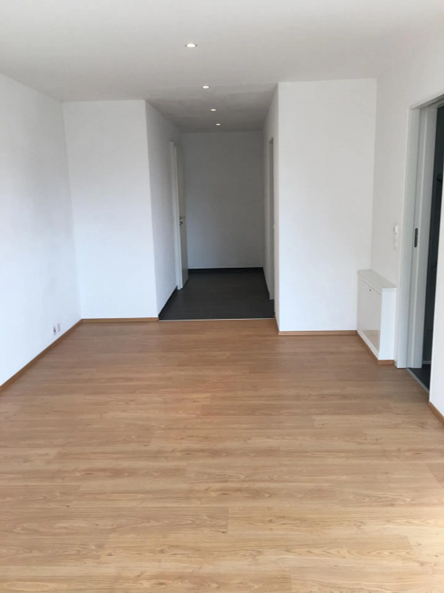 2.5 Room Apartment in a Quiet Location in Sax - Photo 8 of 9