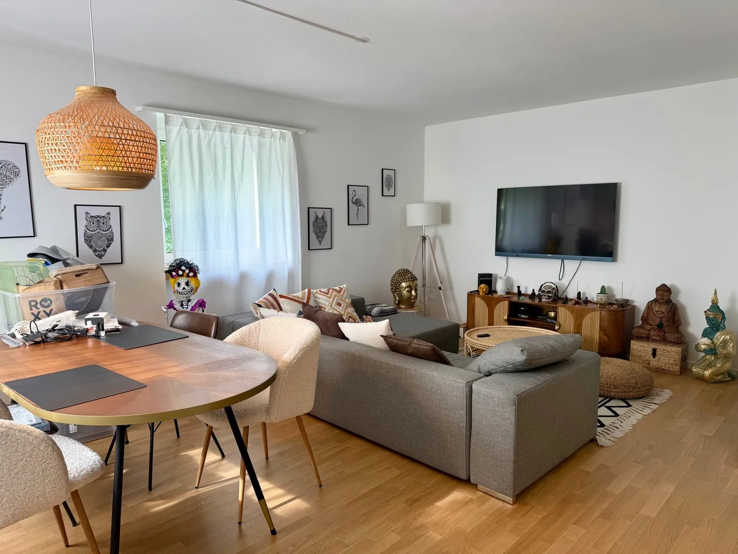 APPARTAMENTO 3 LOCALI A SCHAFFHAUSEN, ARREDATO, TEMPORANEO - Foto 2 di 10