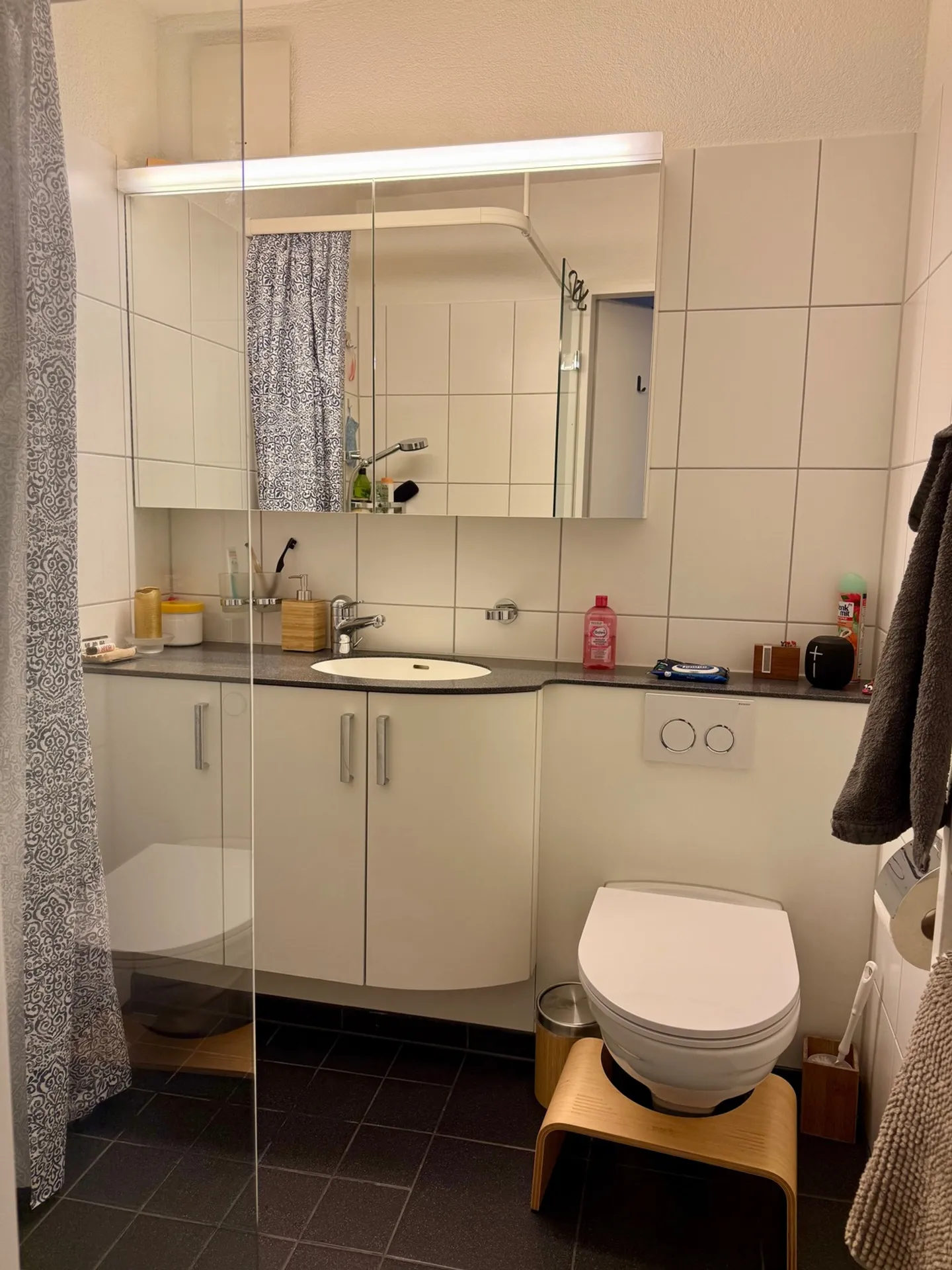 APPARTAMENTO 3 LOCALI A SCHAFFHAUSEN, ARREDATO, TEMPORANEO - Foto 6 di 10
