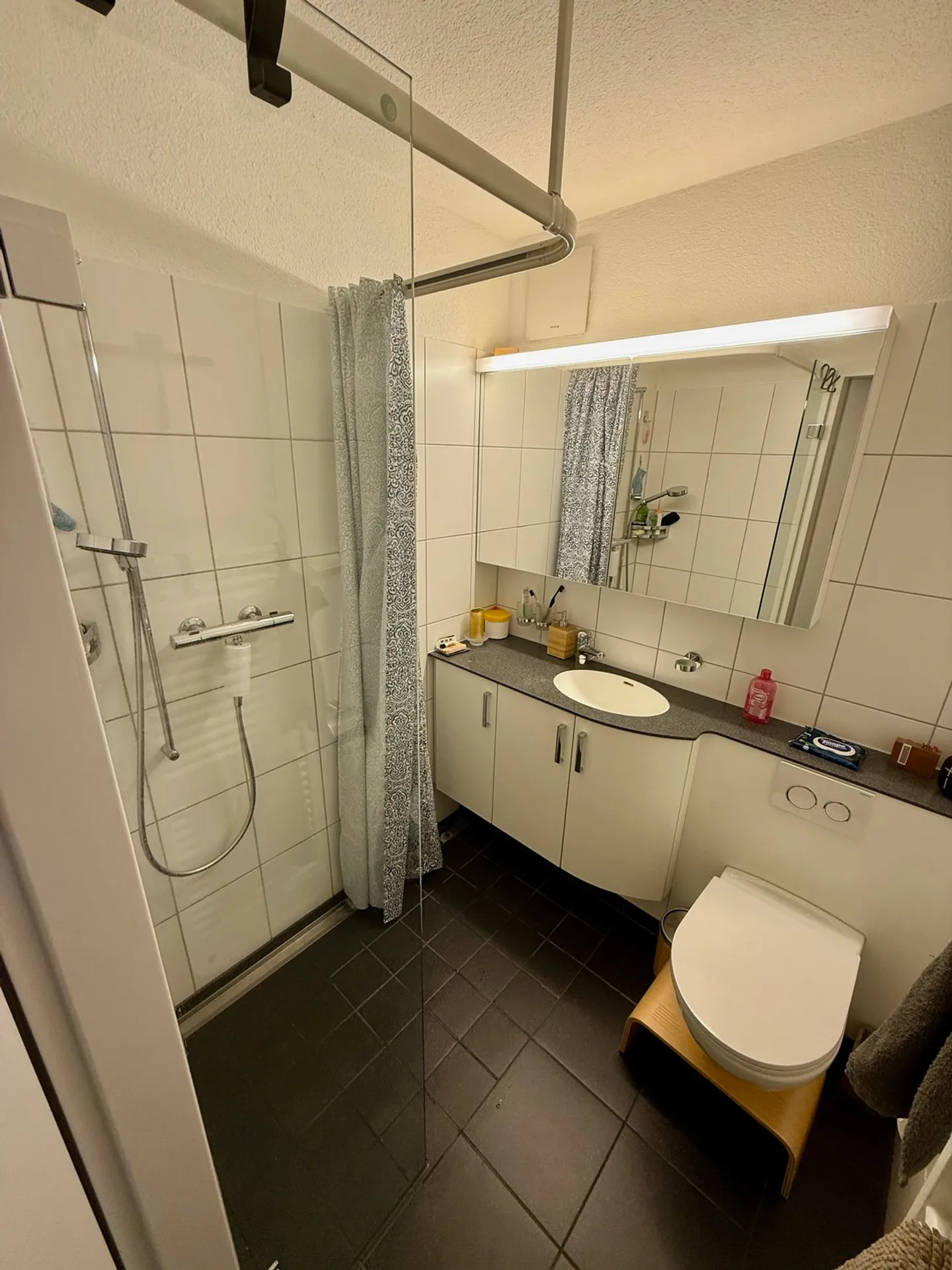 APPARTAMENTO 3 LOCALI A SCHAFFHAUSEN, ARREDATO, TEMPORANEO - Foto 7 di 10