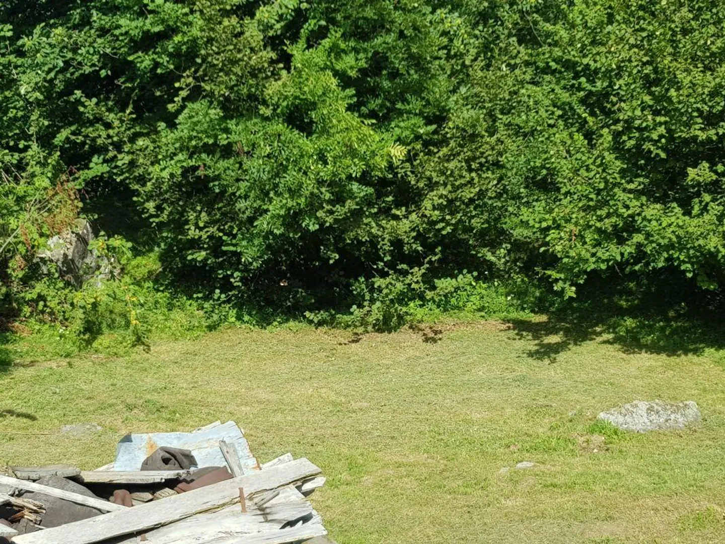 Historic rustic with large building land - Photo 7 of 8