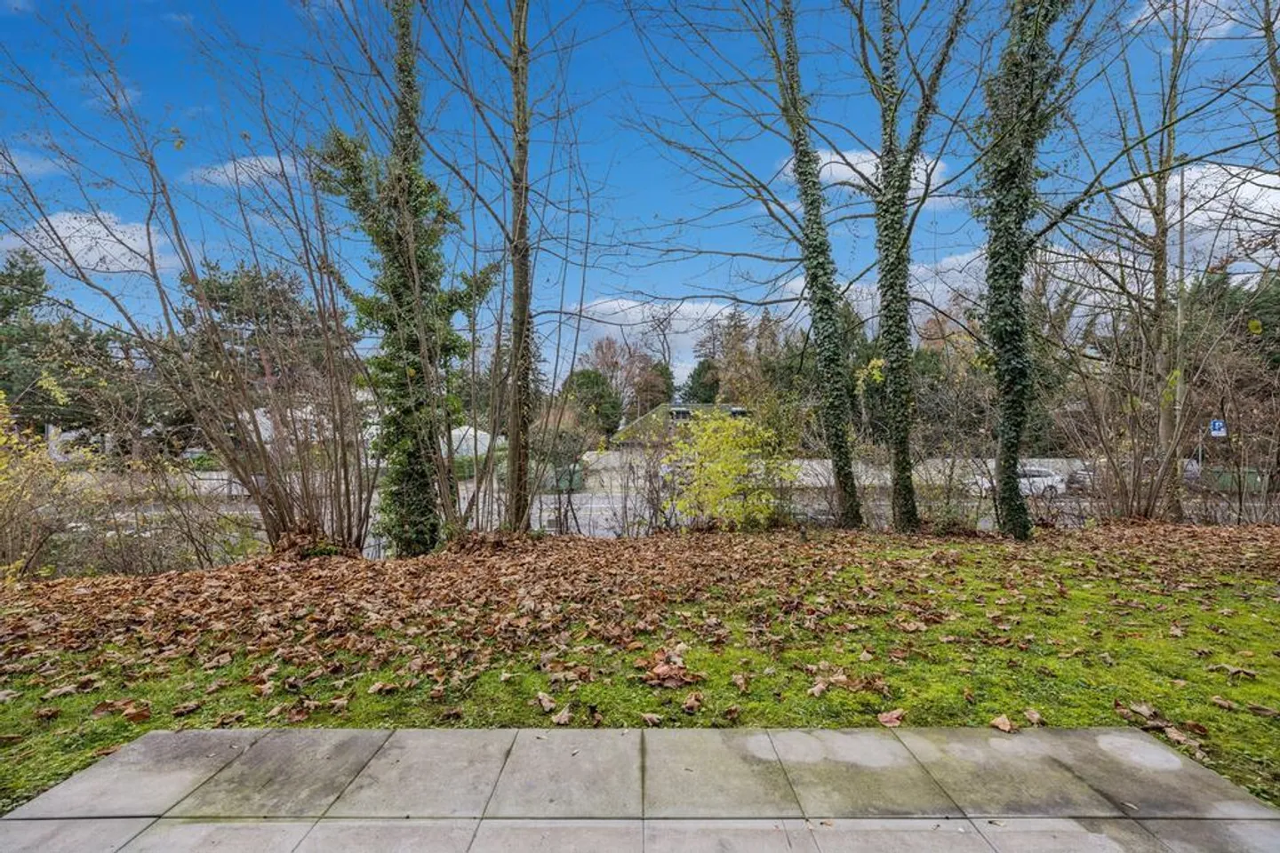 Top appartamento 3.5 camere vicino al lago - Foto 3 di 12