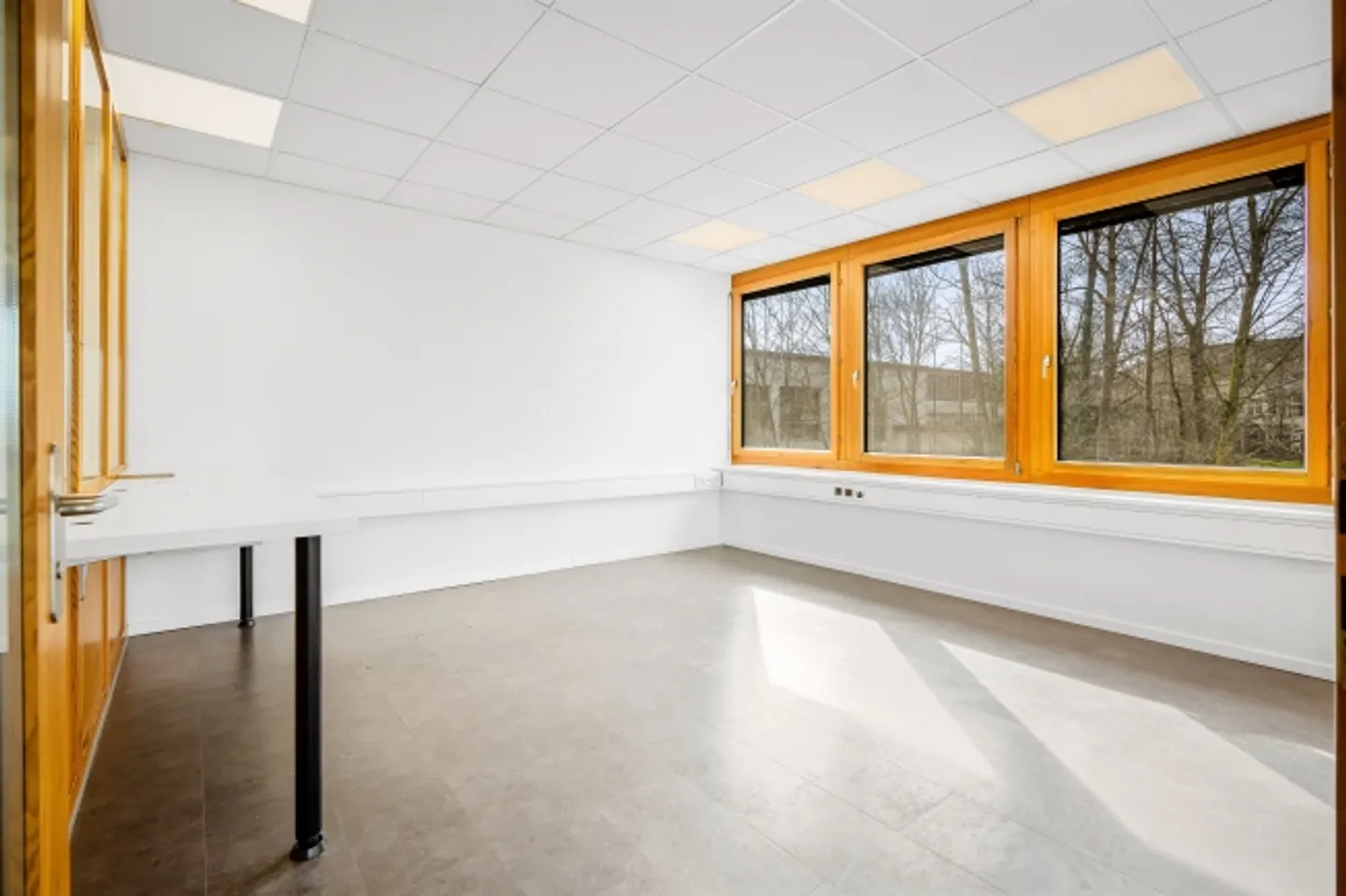 Office space for rent - Photo 8 of 13