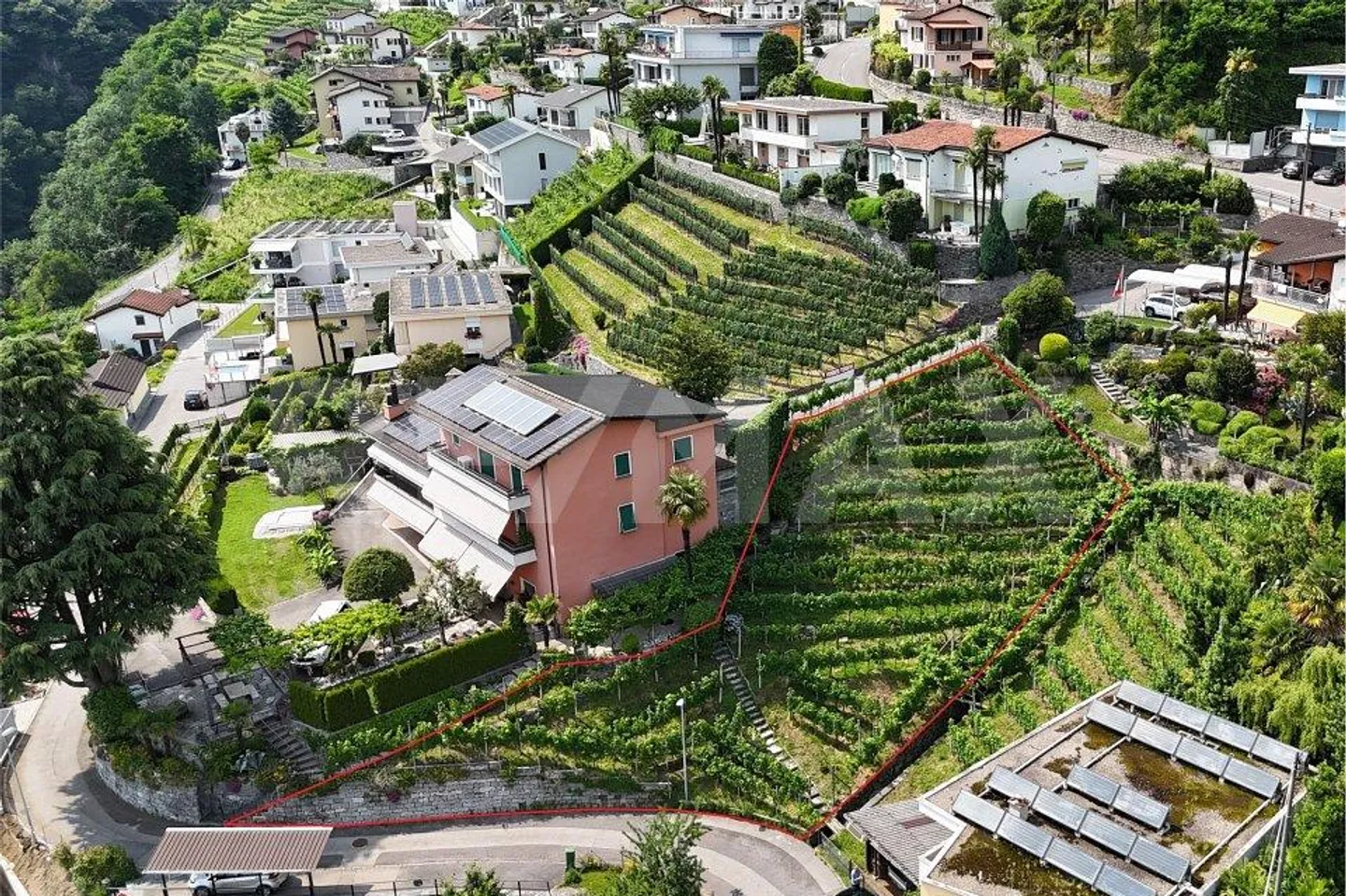 Terreno con progetto di massima - Foto 1 di 13