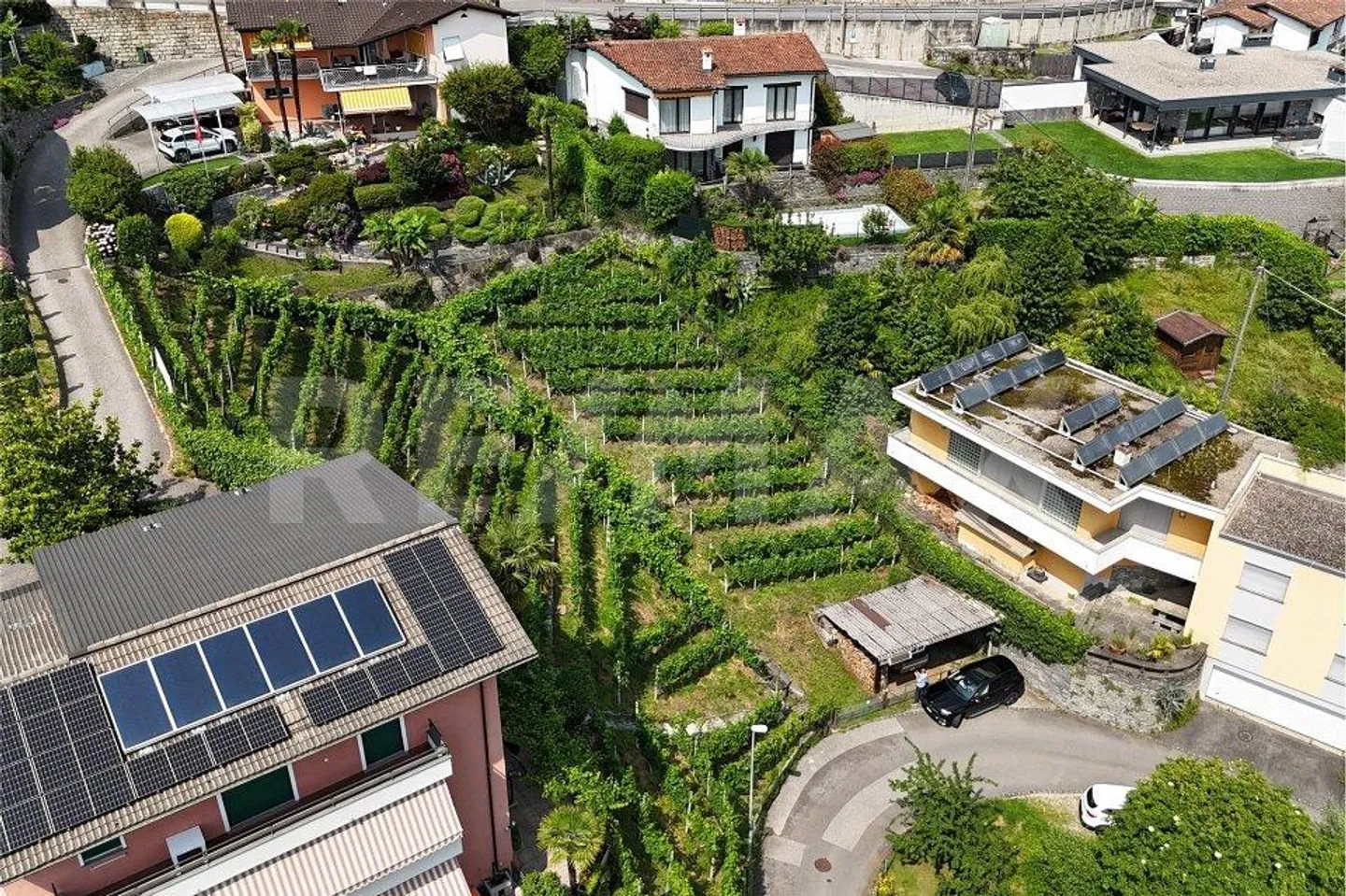 Terreno con progetto di massima - Foto 5 di 13