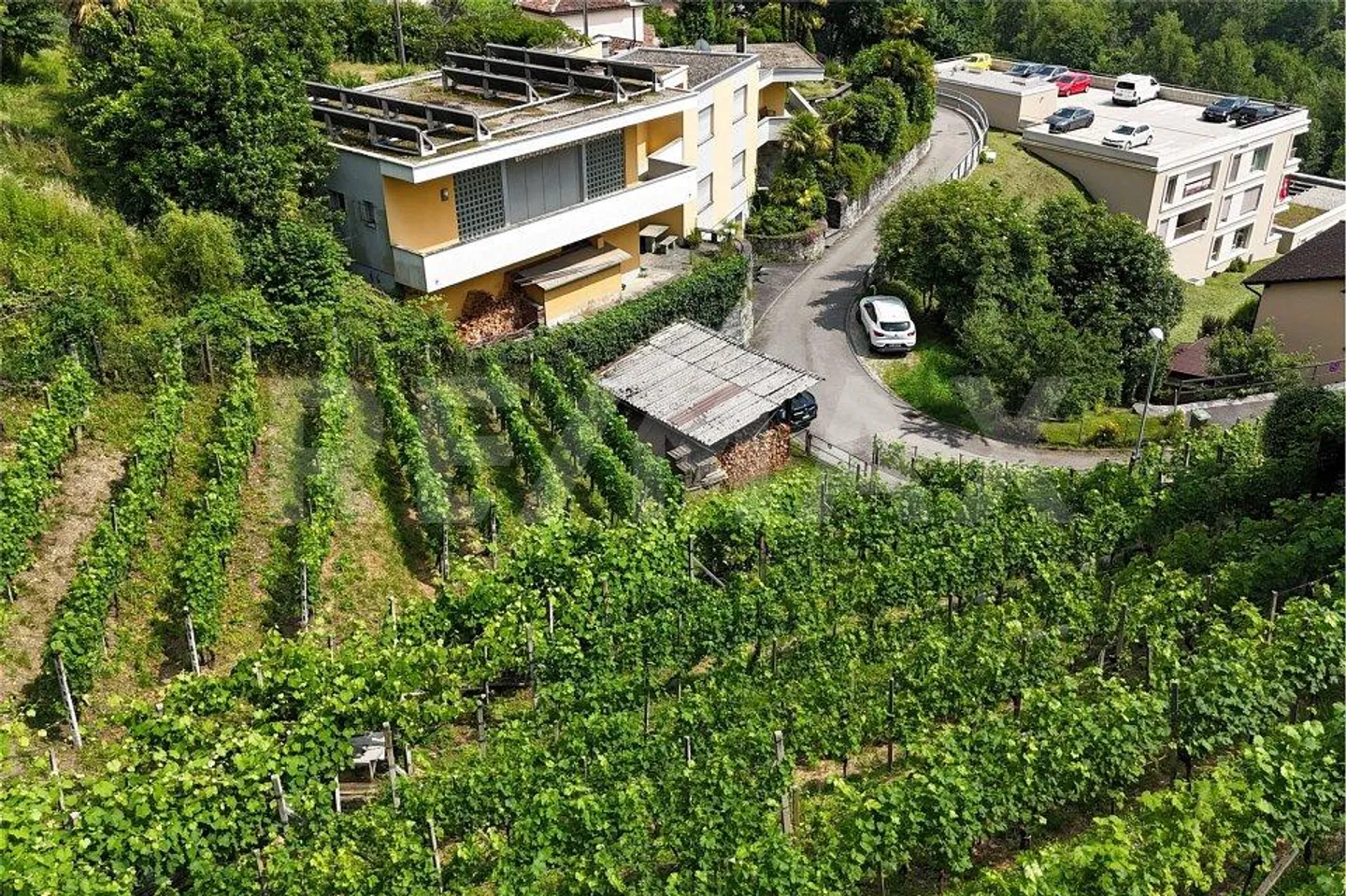 Terreno con progetto di massima - Foto 7 di 13