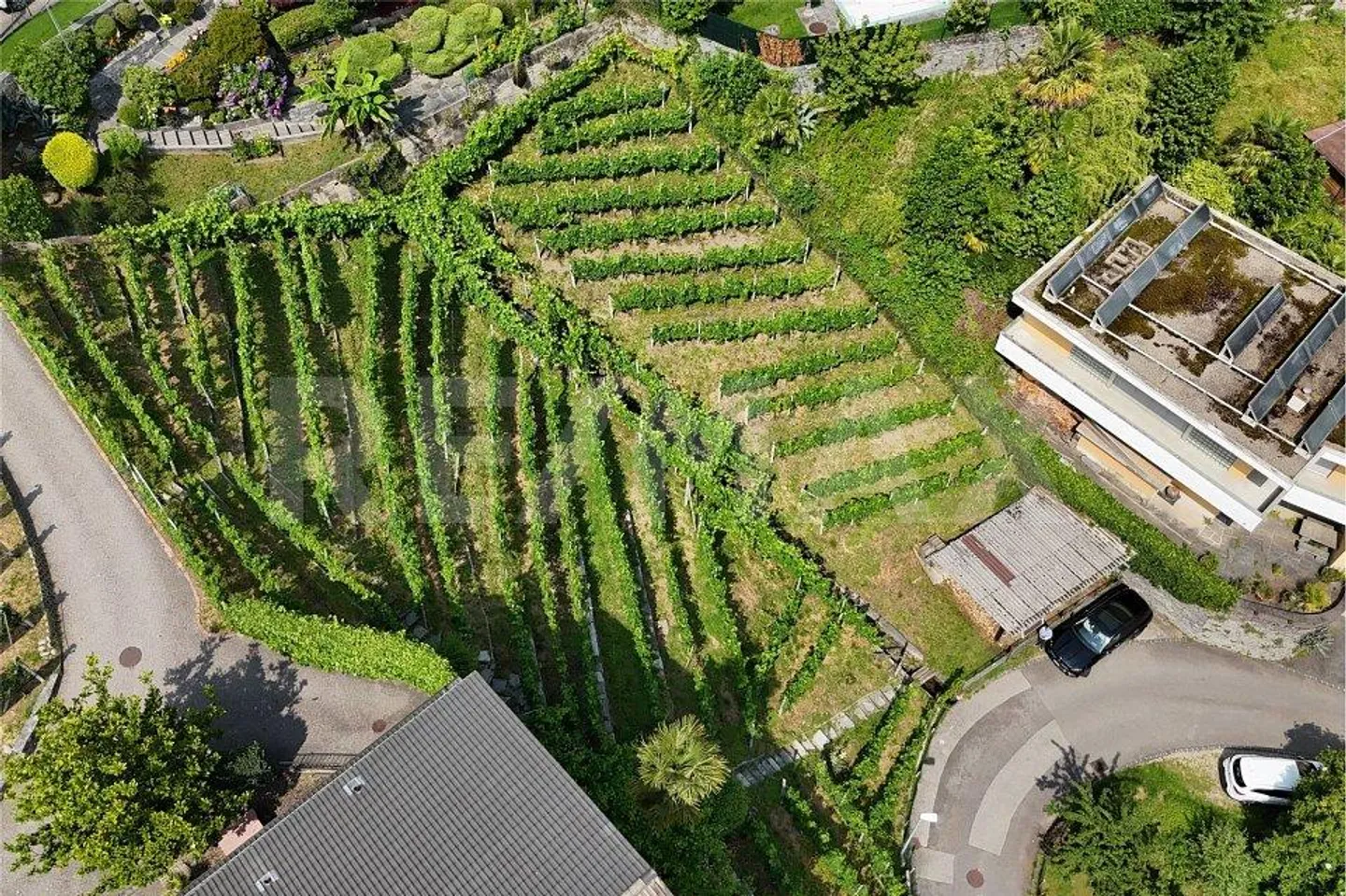 Terreno con progetto di massima - Foto 8 di 13