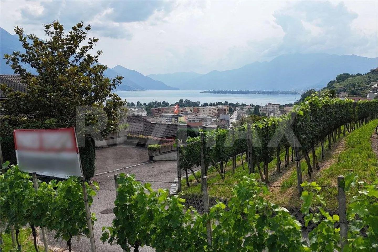 Terreno con progetto di massima - Foto 6 di 13