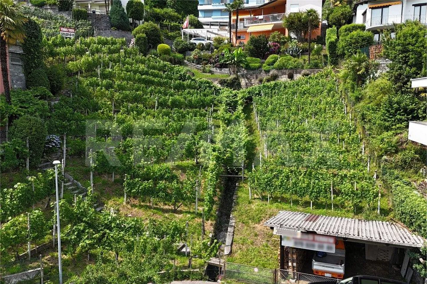 Terreno con progetto di massima - Foto 11 di 13