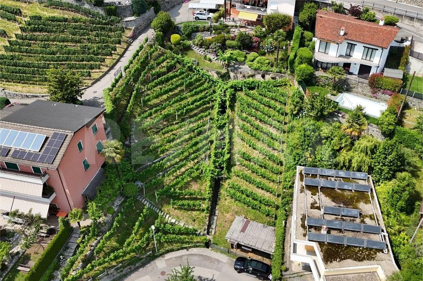 Terreno con progetto di massima - Foto 10 di 13