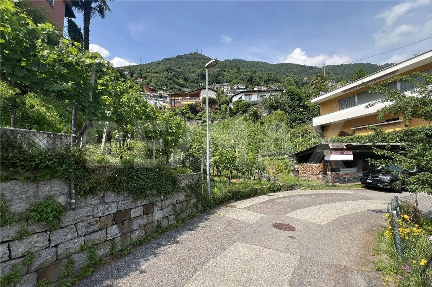 Terreno con progetto di massima - Foto 12 di 13