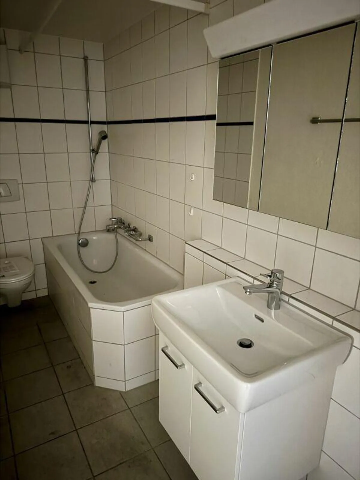 Renovated apartment with new kitchen near the Rhine - Photo 2 of 6
