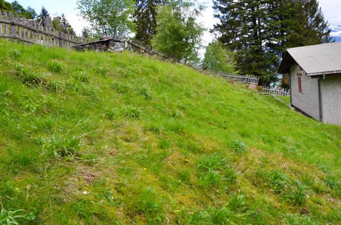 Rustico di 3 loc. immerso nella natura molto soleggiata con bella vista panoramica - Foto 22 di 32