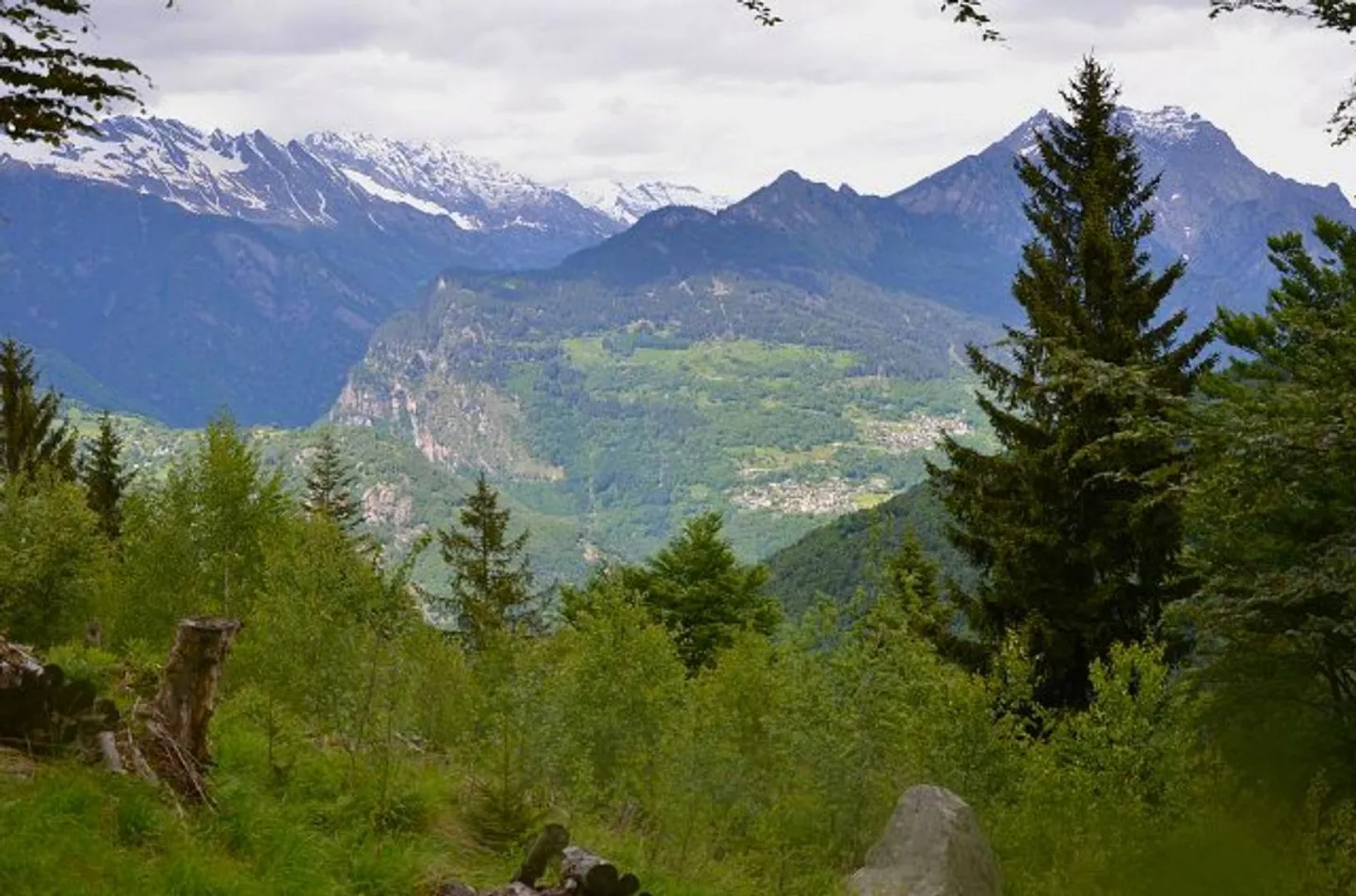 Rustico di 3 loc. immerso nella natura molto soleggiata con bella vista panoramica - Foto 31 di 32