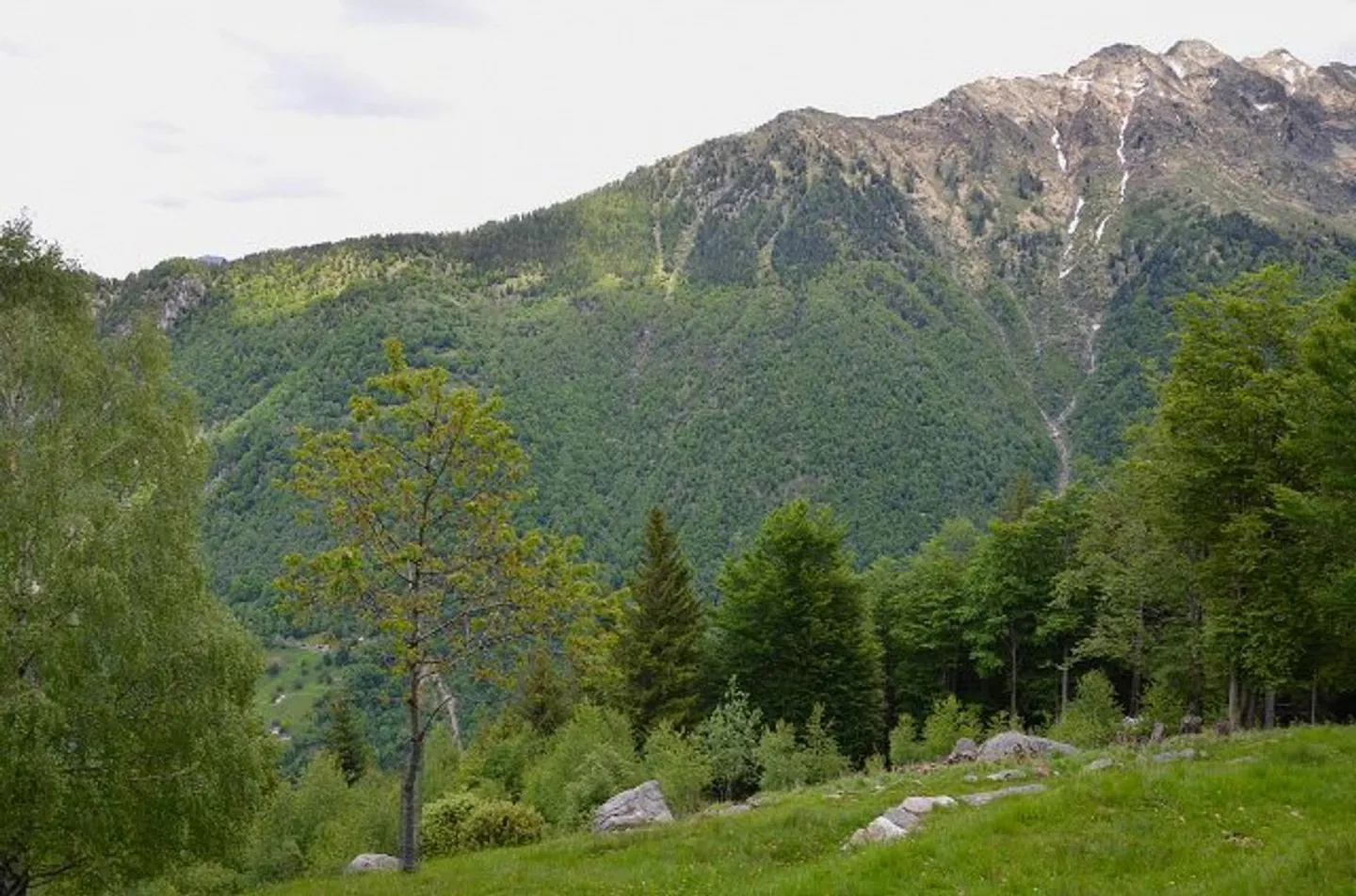 Rustico di 3 loc. immerso nella natura molto soleggiata con bella vista panoramica - Foto 32 di 32