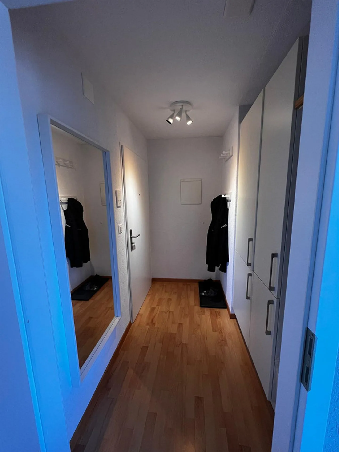 Appartamento 1 stanza arredato! Affitto tutto incluso, vicino al confine, luminoso - Foto 7 di 7