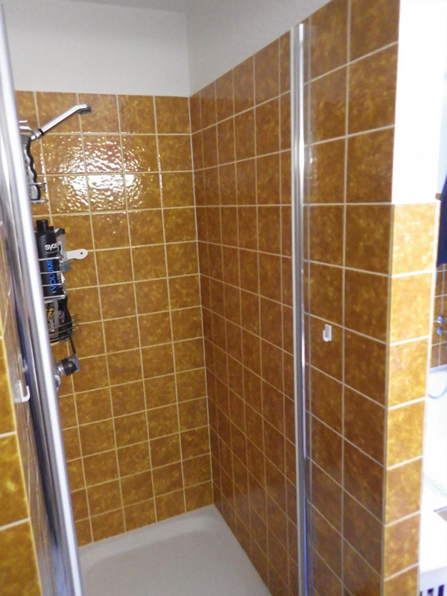 Spacious Living in the Lacuna Quarter - No Building Lease - Photo 7 of 11