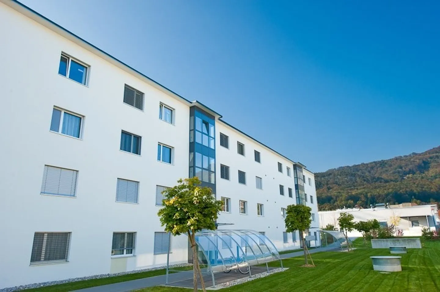 Keine Lust auf Scheibenkratzen? - Foto 2 von 2