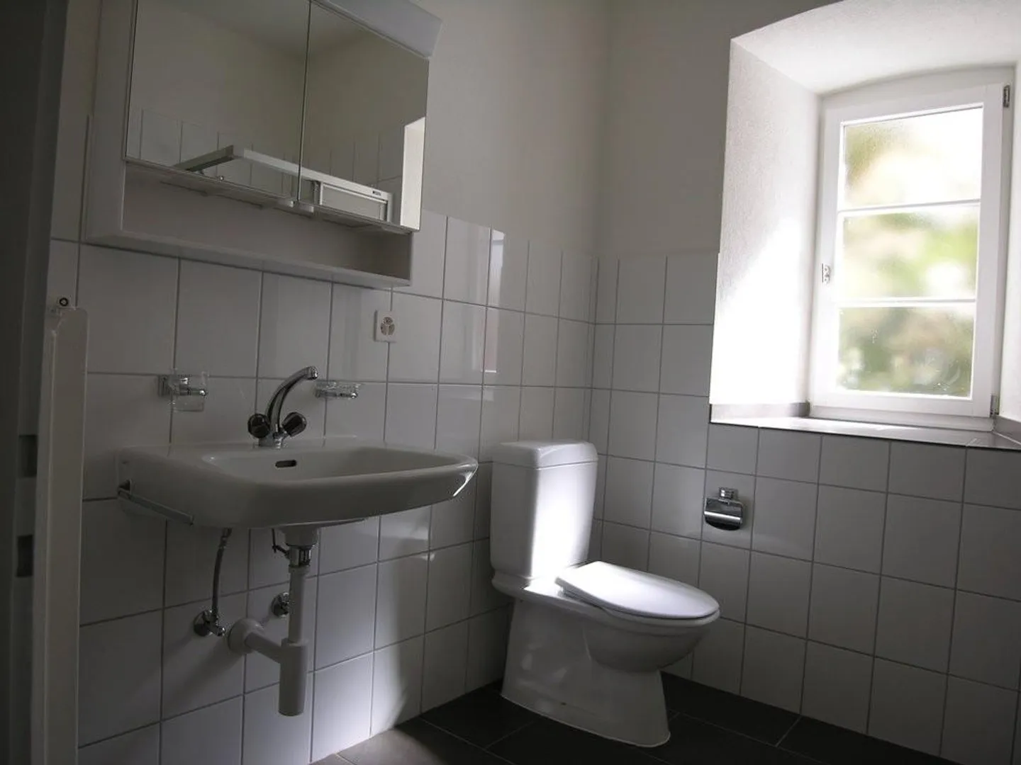 Beautiful 1-room apartment right by Joggeli - Photo 6 of 9