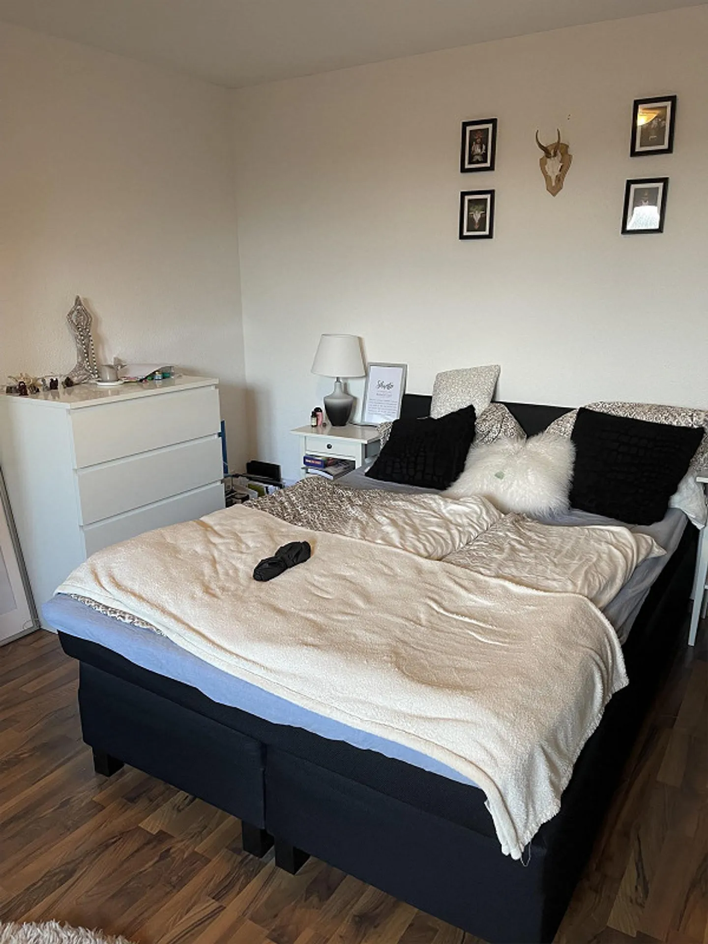 Appartamento 2,5 stanze - Foto 4 di 7