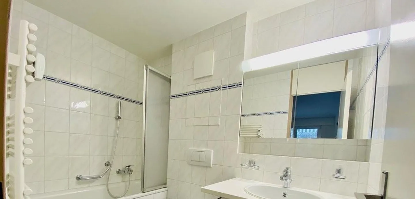 3.5 apartments - Photo 6 of 7