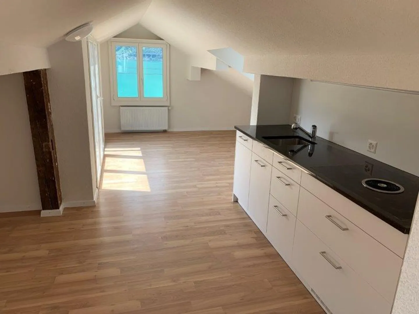 Dreamy Penthouse Apartment with Lake View and Rooftop Terrace - Photo 4 of 6