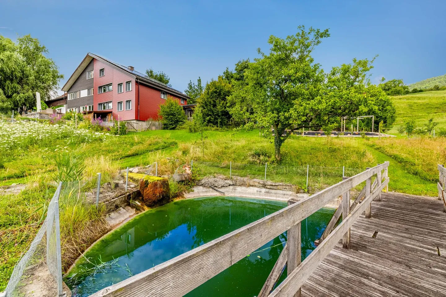 Scenic Freedom for Nature and Dog Lovers - Photo 1 of 8