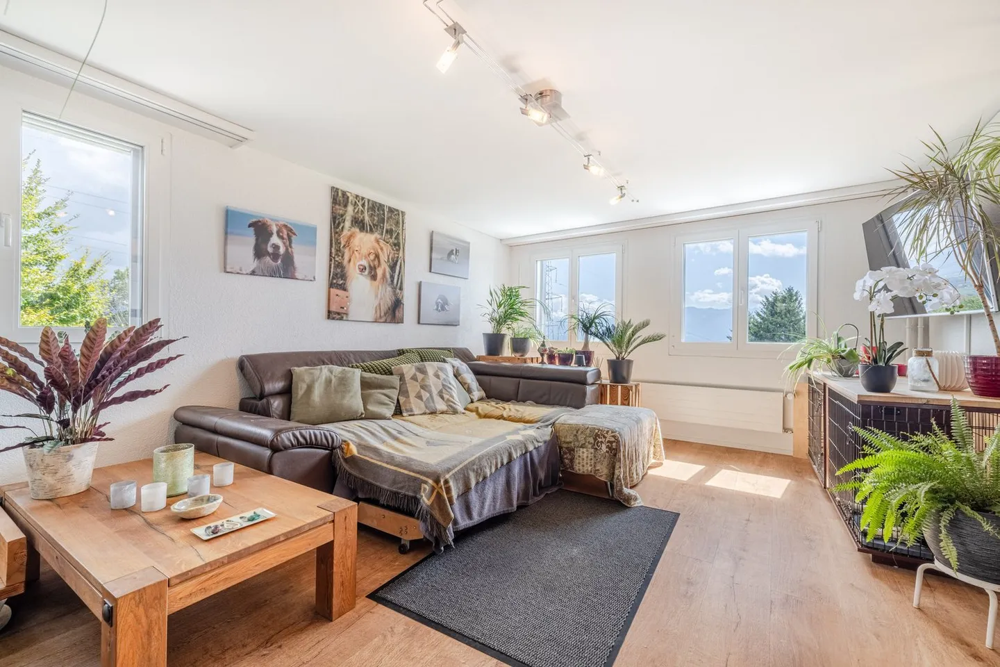 Scenic Freedom for Nature and Dog Lovers - Photo 2 of 8