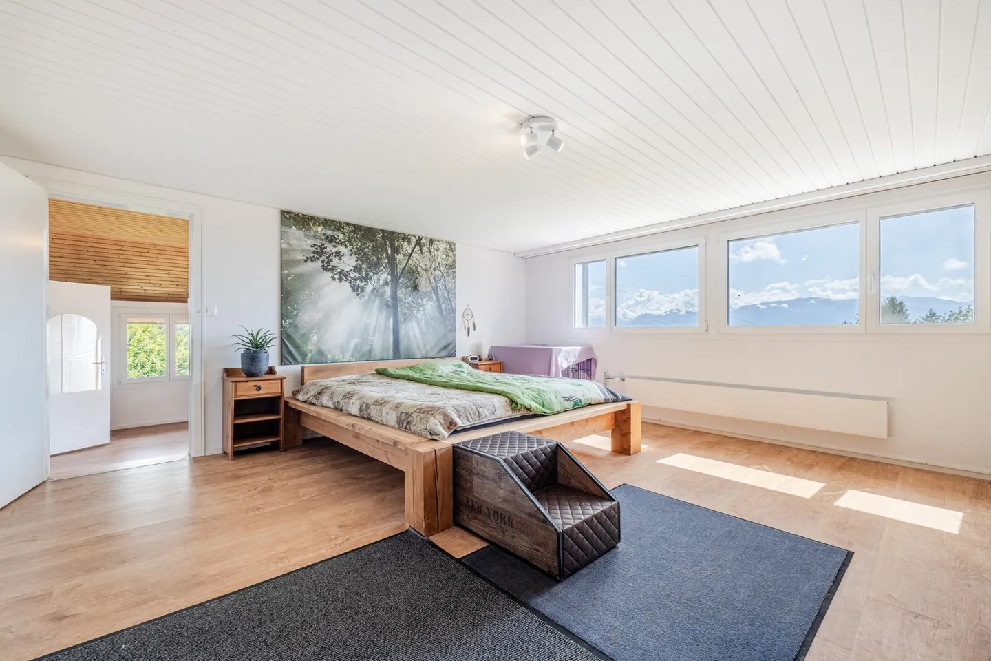 Scenic Freedom for Nature and Dog Lovers - Photo 4 of 8