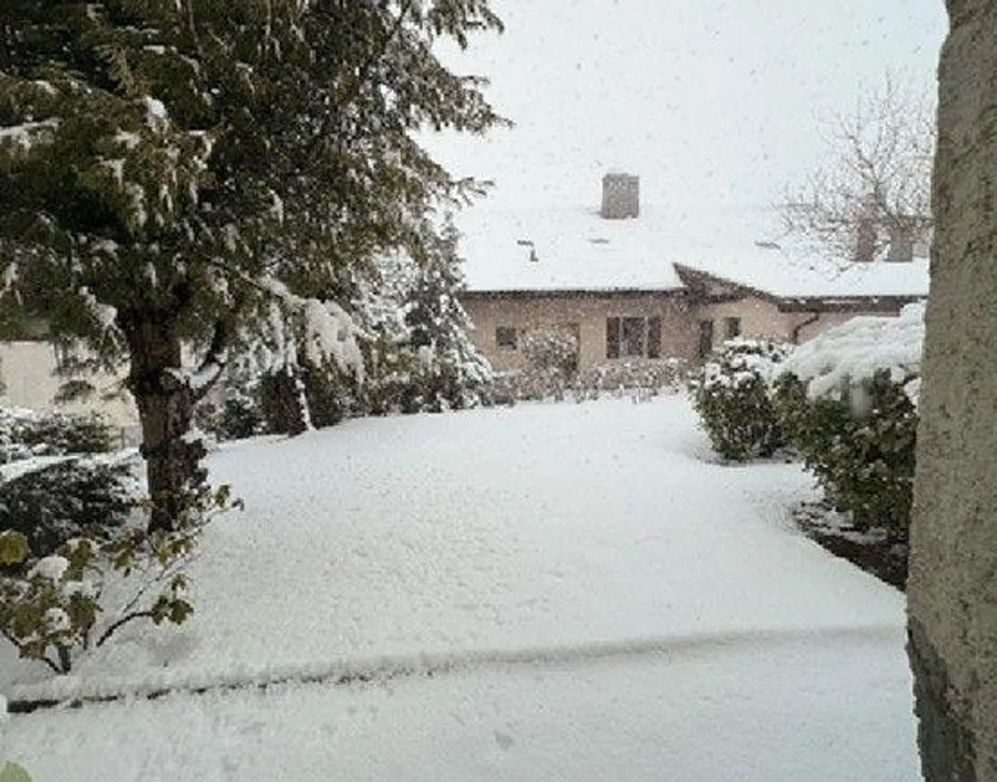 House with Garden - Photo 3 of 13