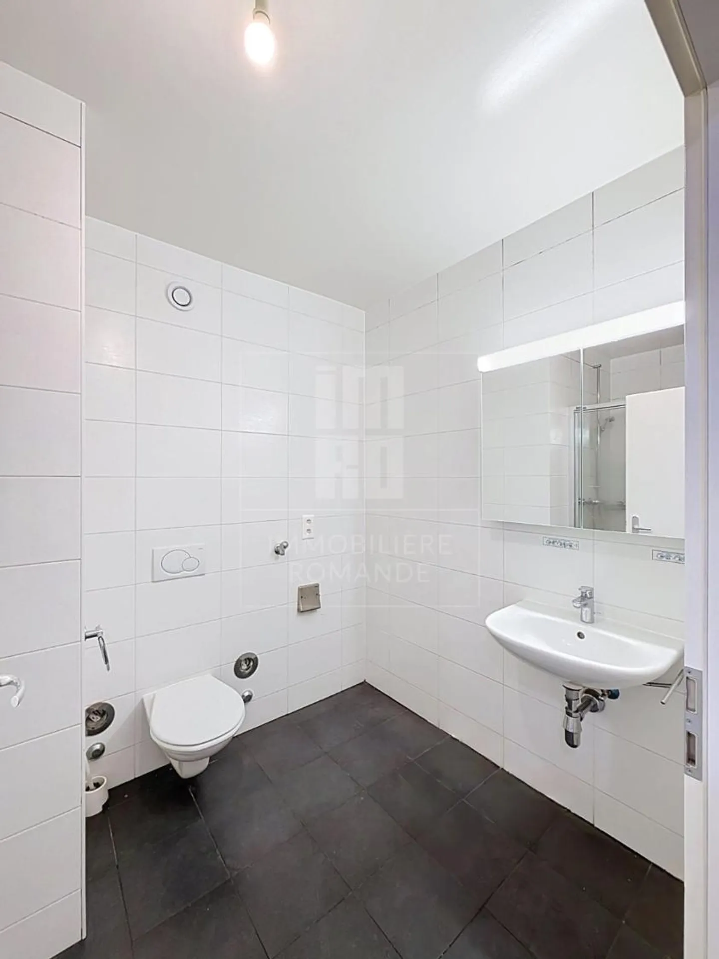 Appartement Charmant à Satigny - Photo 13 sur 13