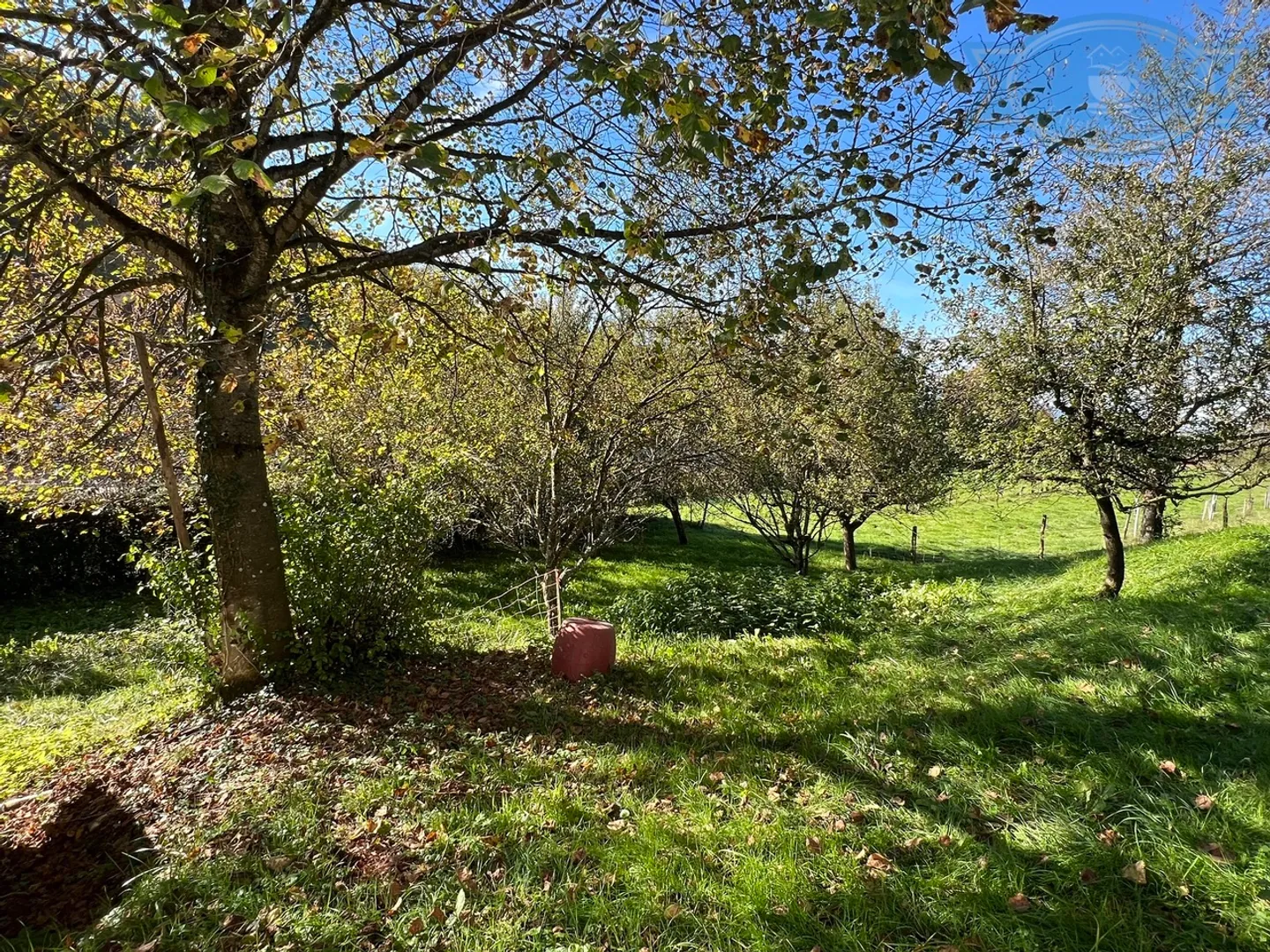 Single-family house and barn/workshop to renovate in Charmoille - Photo 8 of 9
