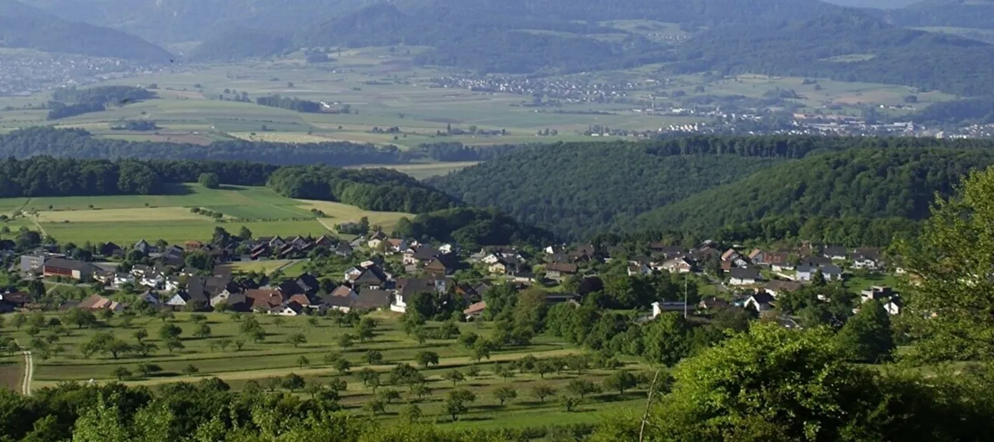 Prima locazione: Appartamento confortevole di 3,5 stanze con area giardino - Foto 1 di 2