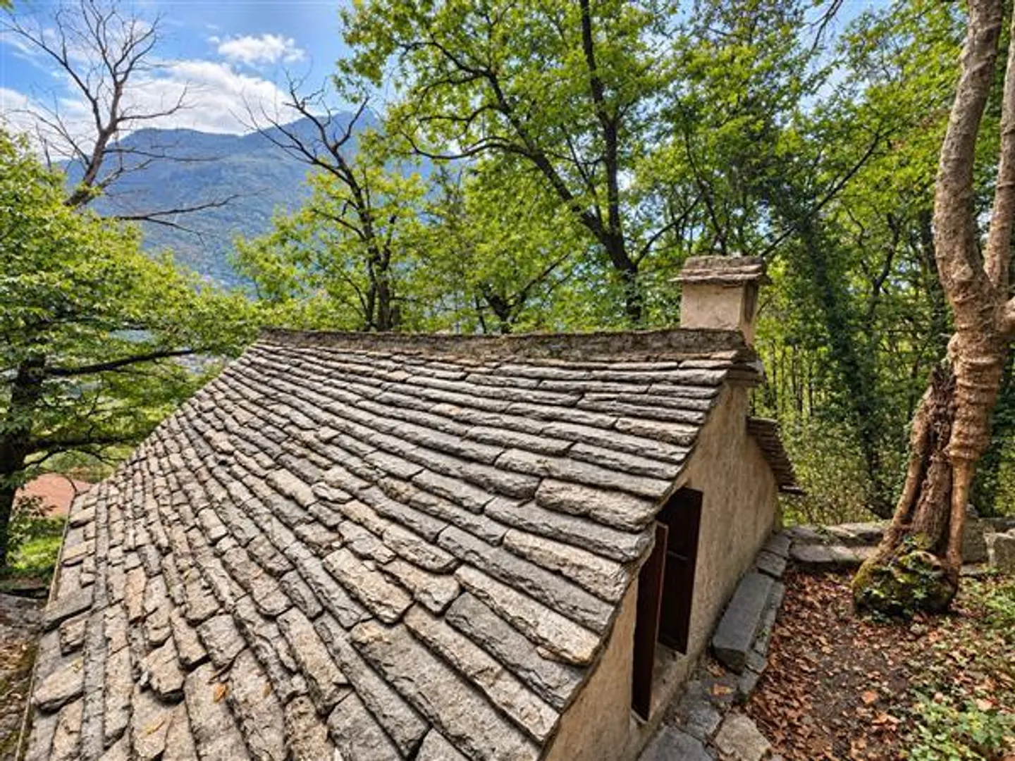 SEMIONE : Rustique 2.5 pièces - Photo 3 sur 13