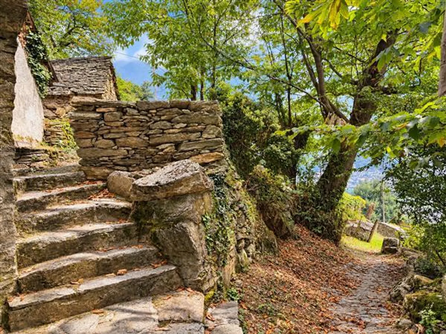 SEMIONE : Rustique 2.5 pièces - Photo 4 sur 13