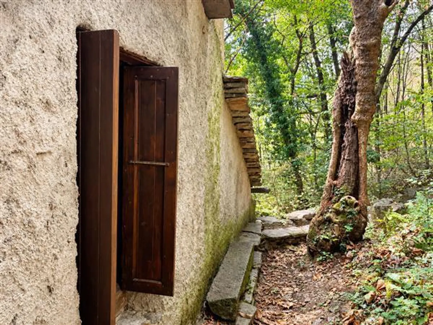 SEMIONE : Rustique 2.5 pièces - Photo 11 sur 13