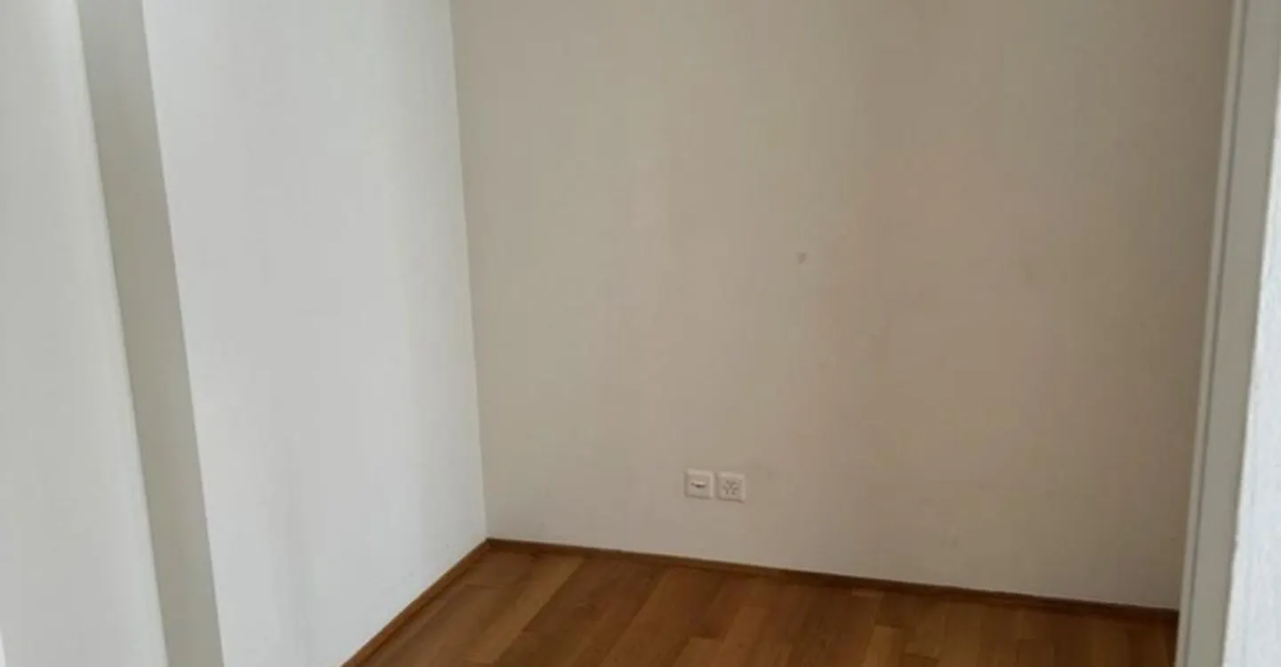 Modern apartment in the heart of Zurich - Photo 2 of 5