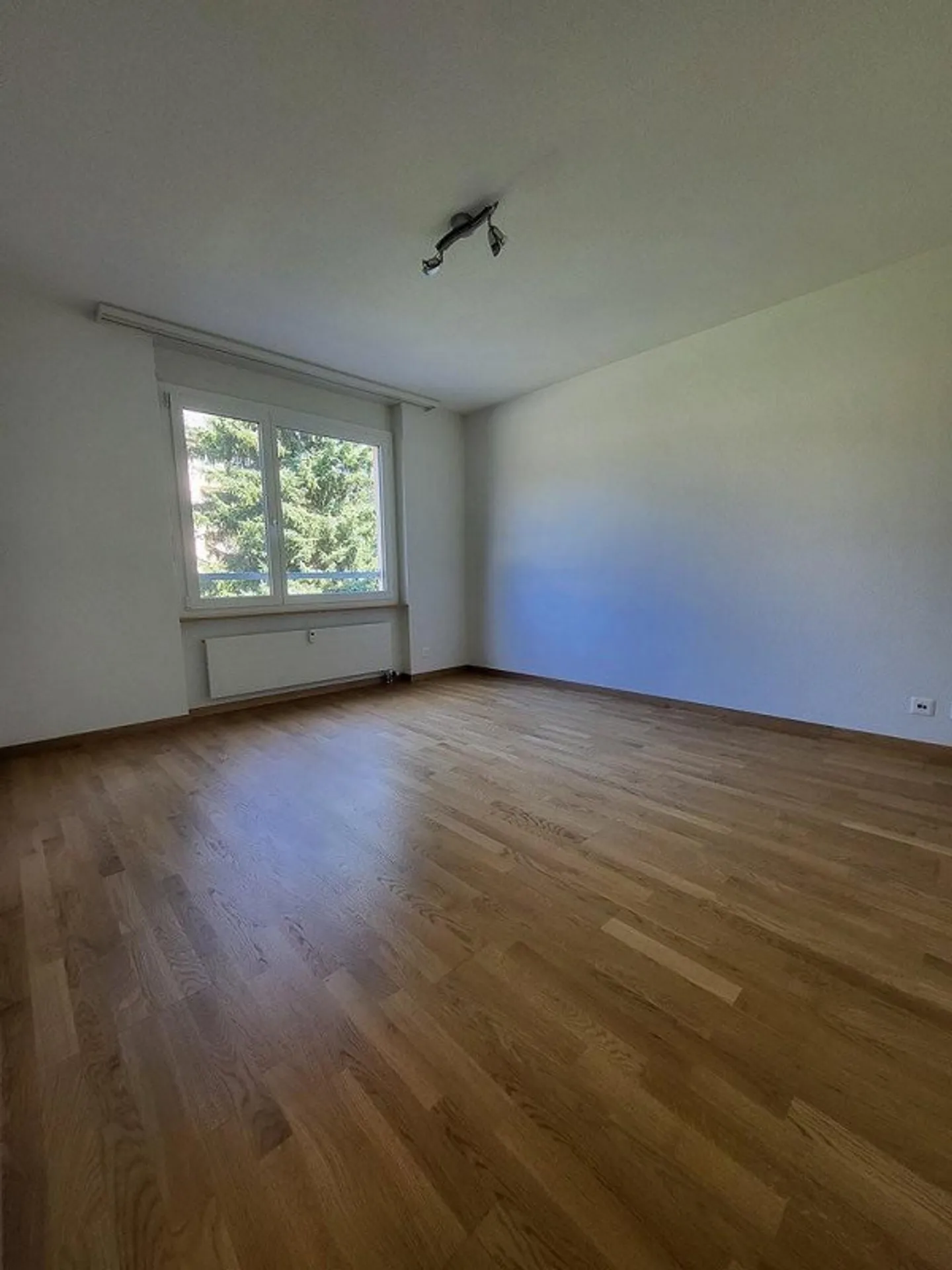 Your new home? - Photo 6 of 6